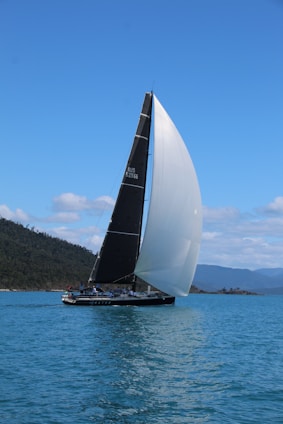 A sleek luxury sailing catamaran gliding through the water.