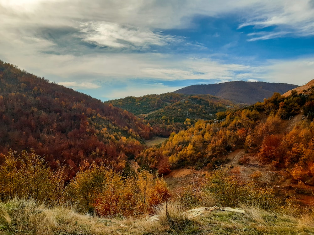 green and brown trees on mountain under white clouds during daytime