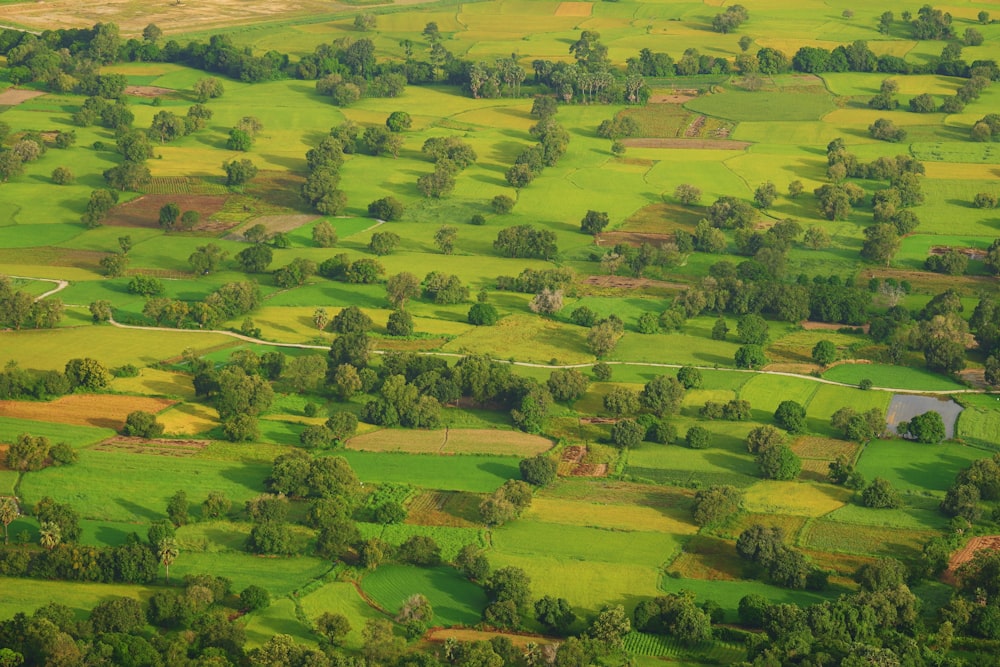 green grass field during daytime