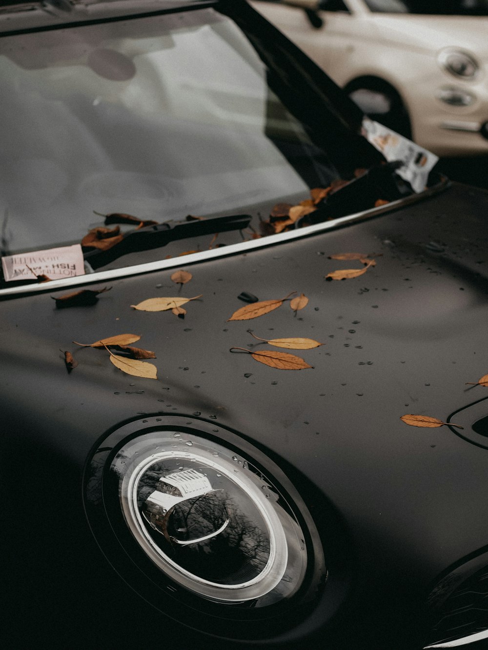 black and silver car with license plate