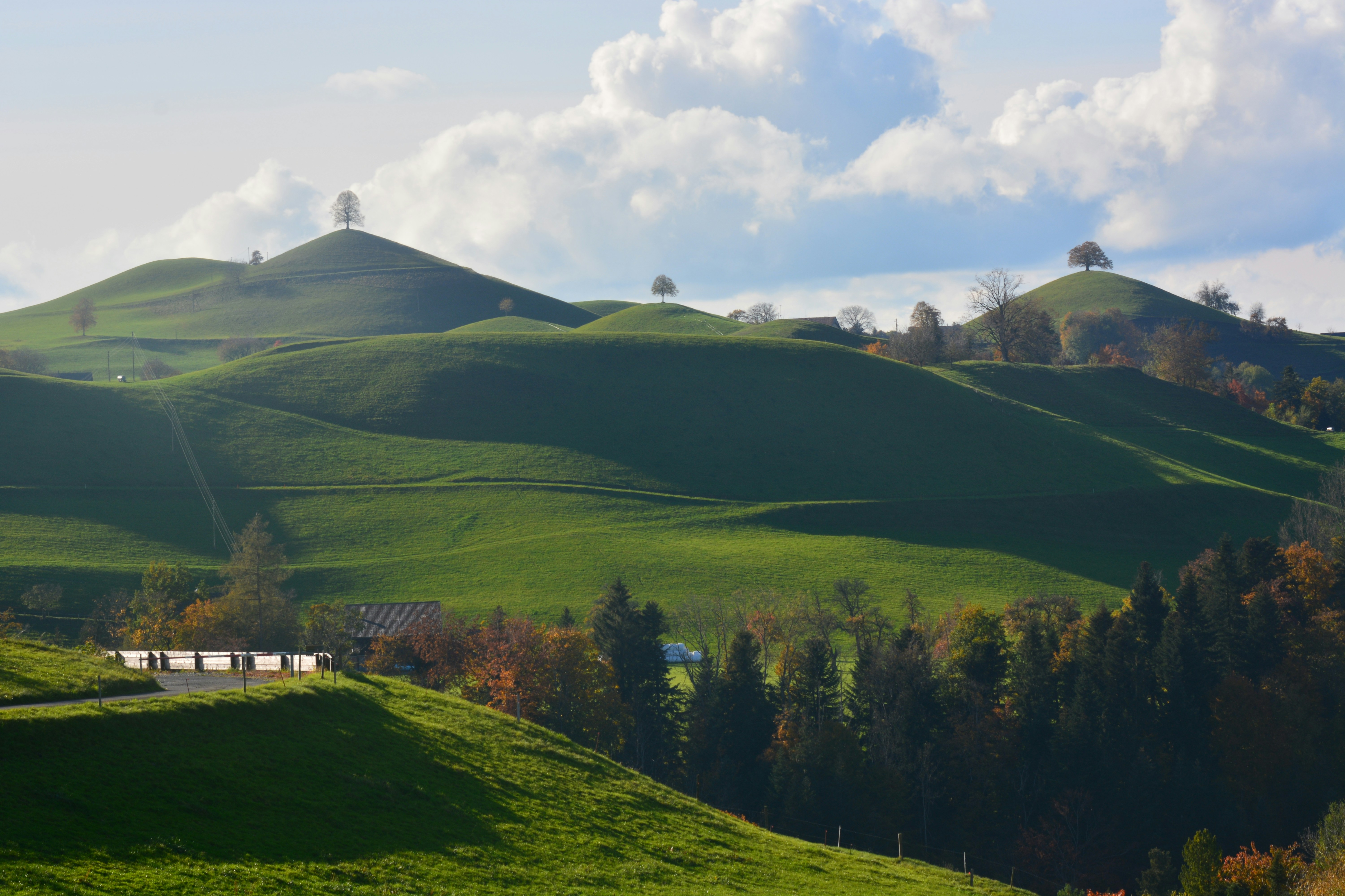 Fertile fields for tenant farming in Umbria