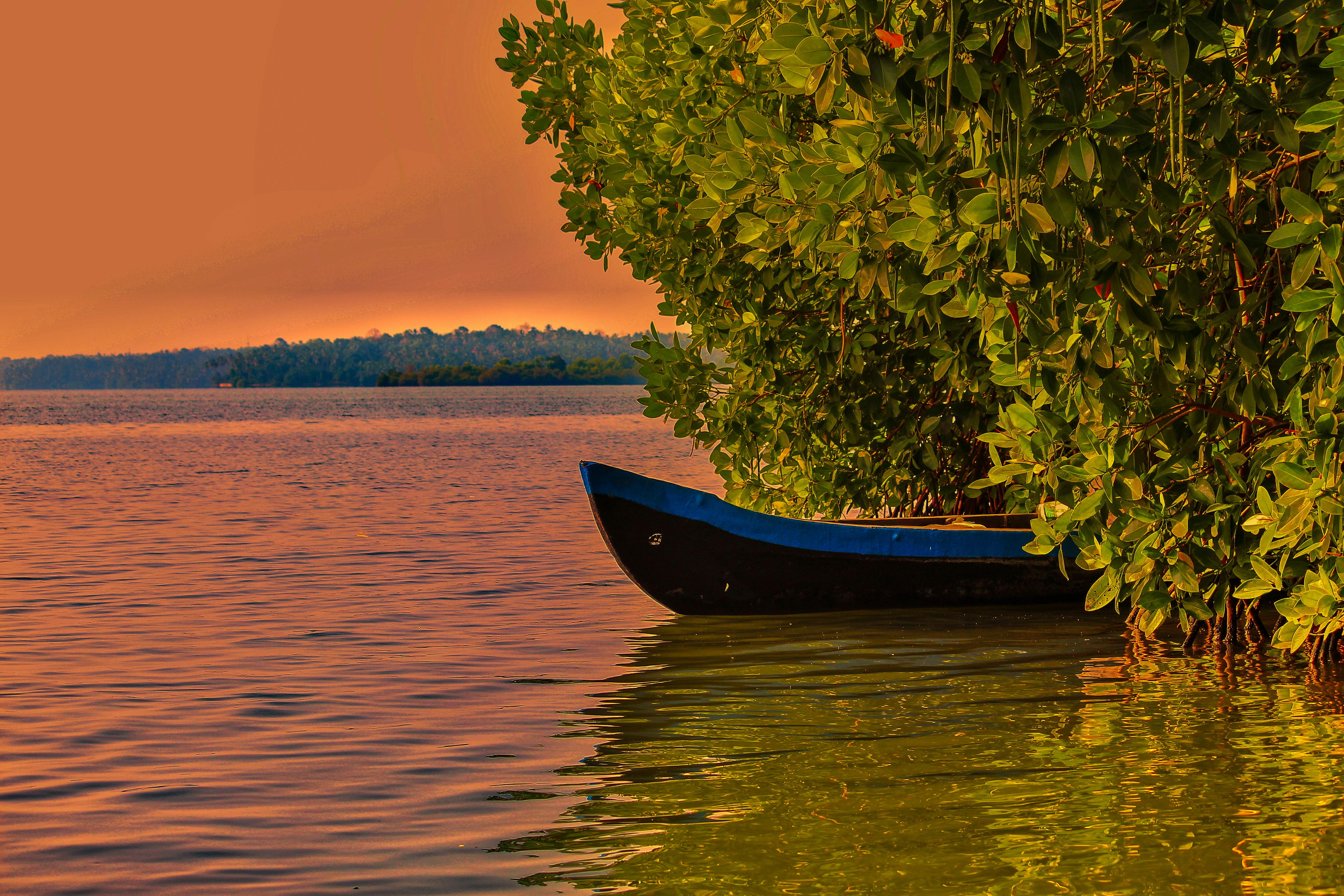 blue and red boat on body of water during daytime