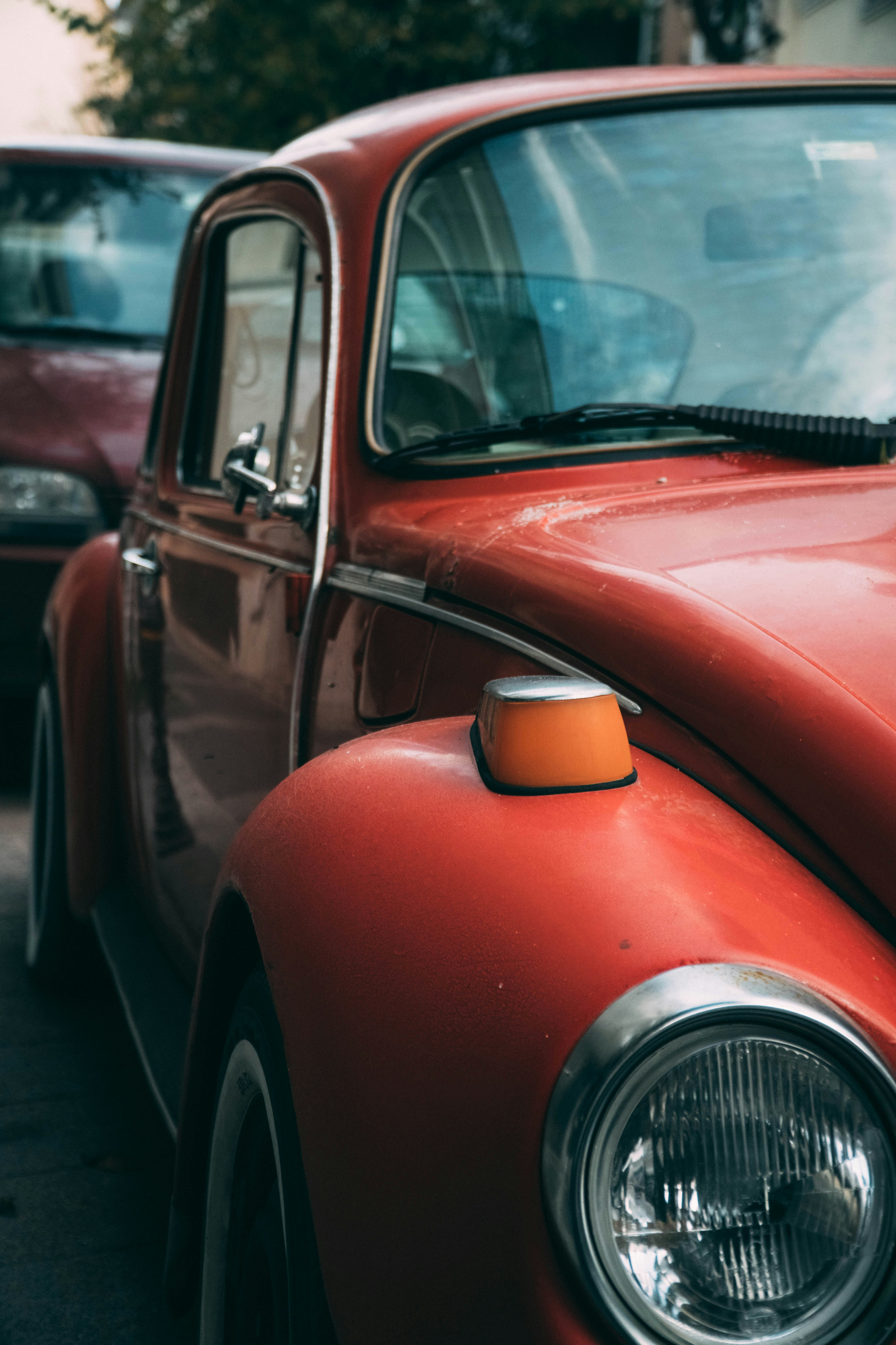 Photo by ceydaciftci