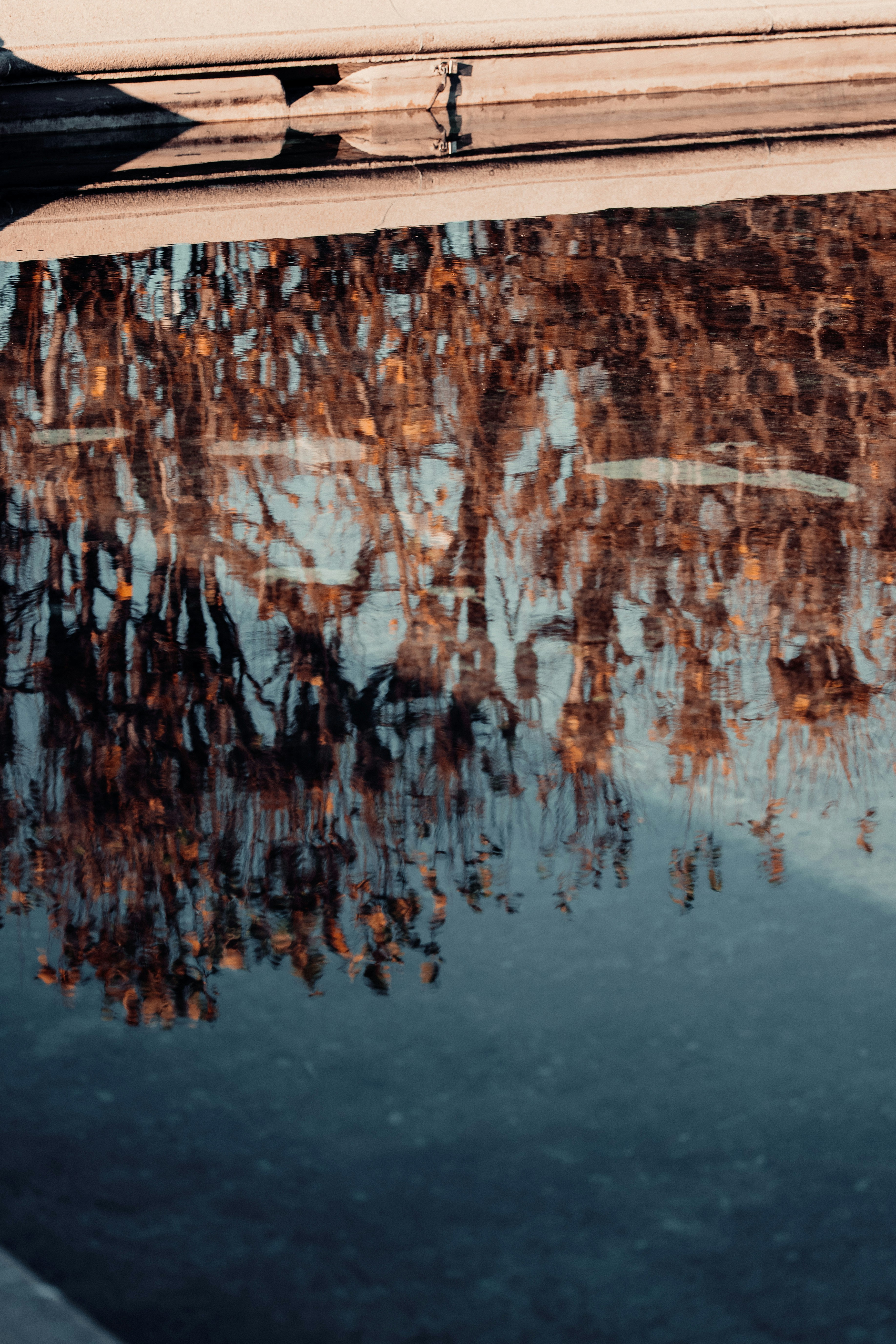 Photo by patresinger