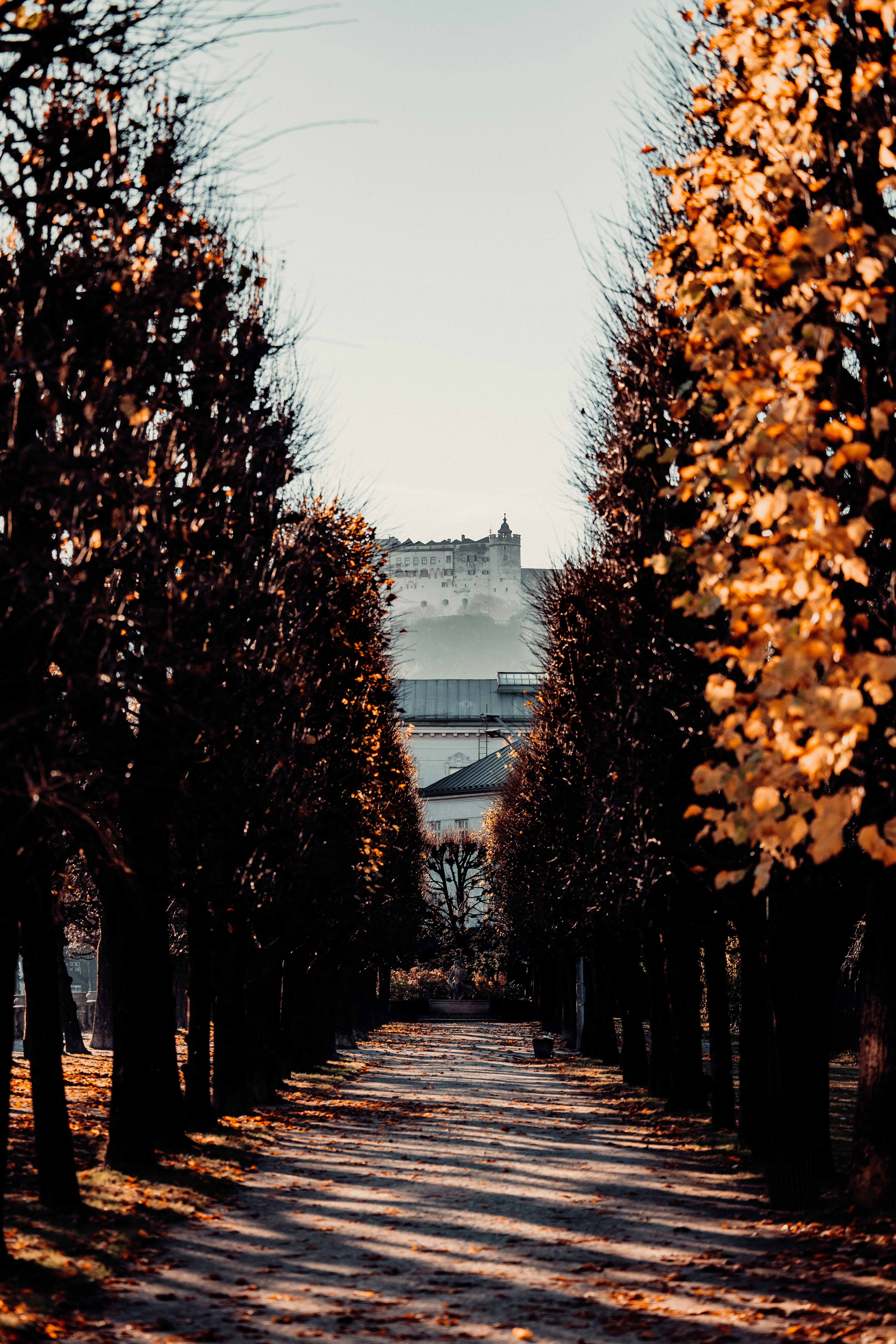 Photo by patresinger