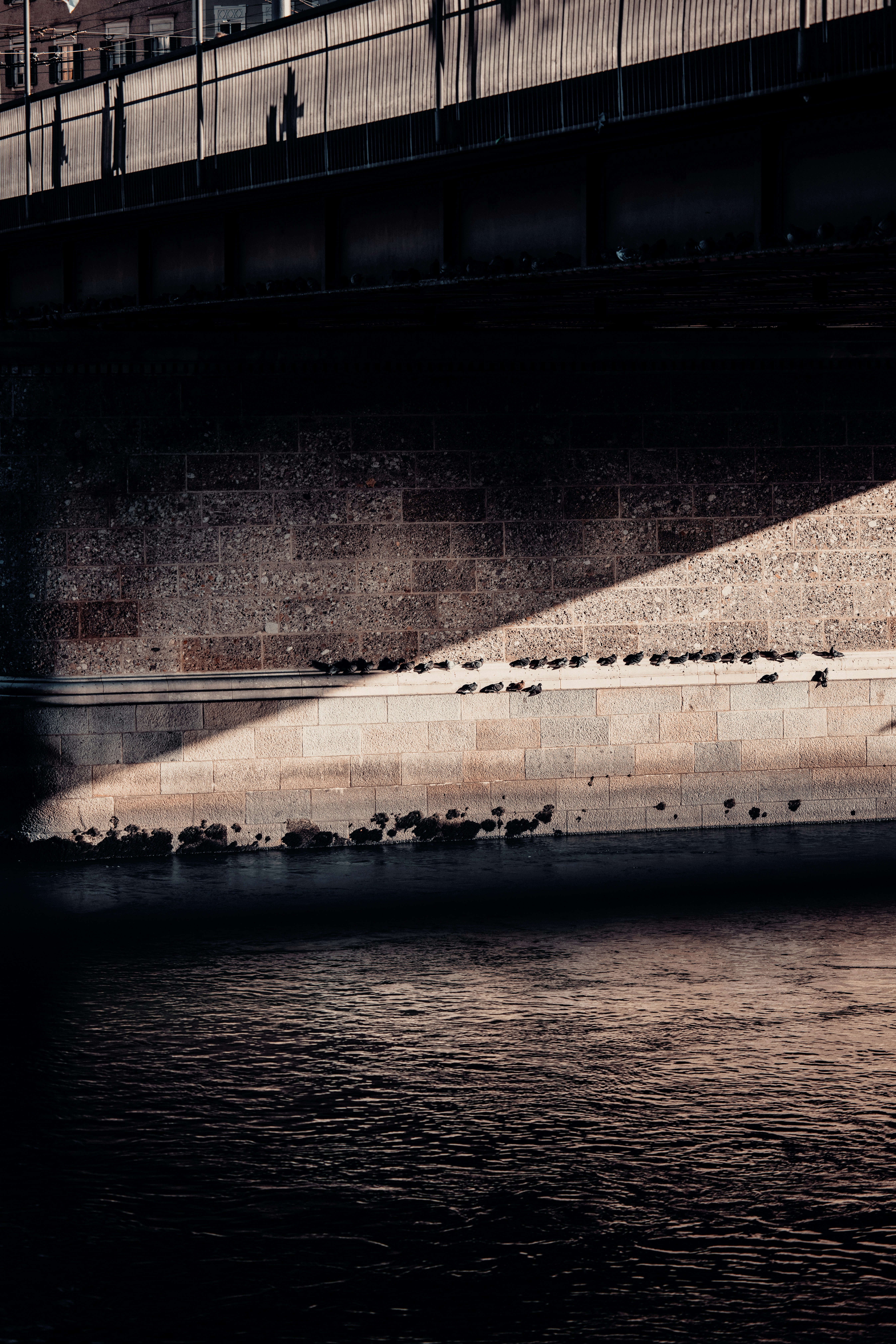 Photo by patresinger