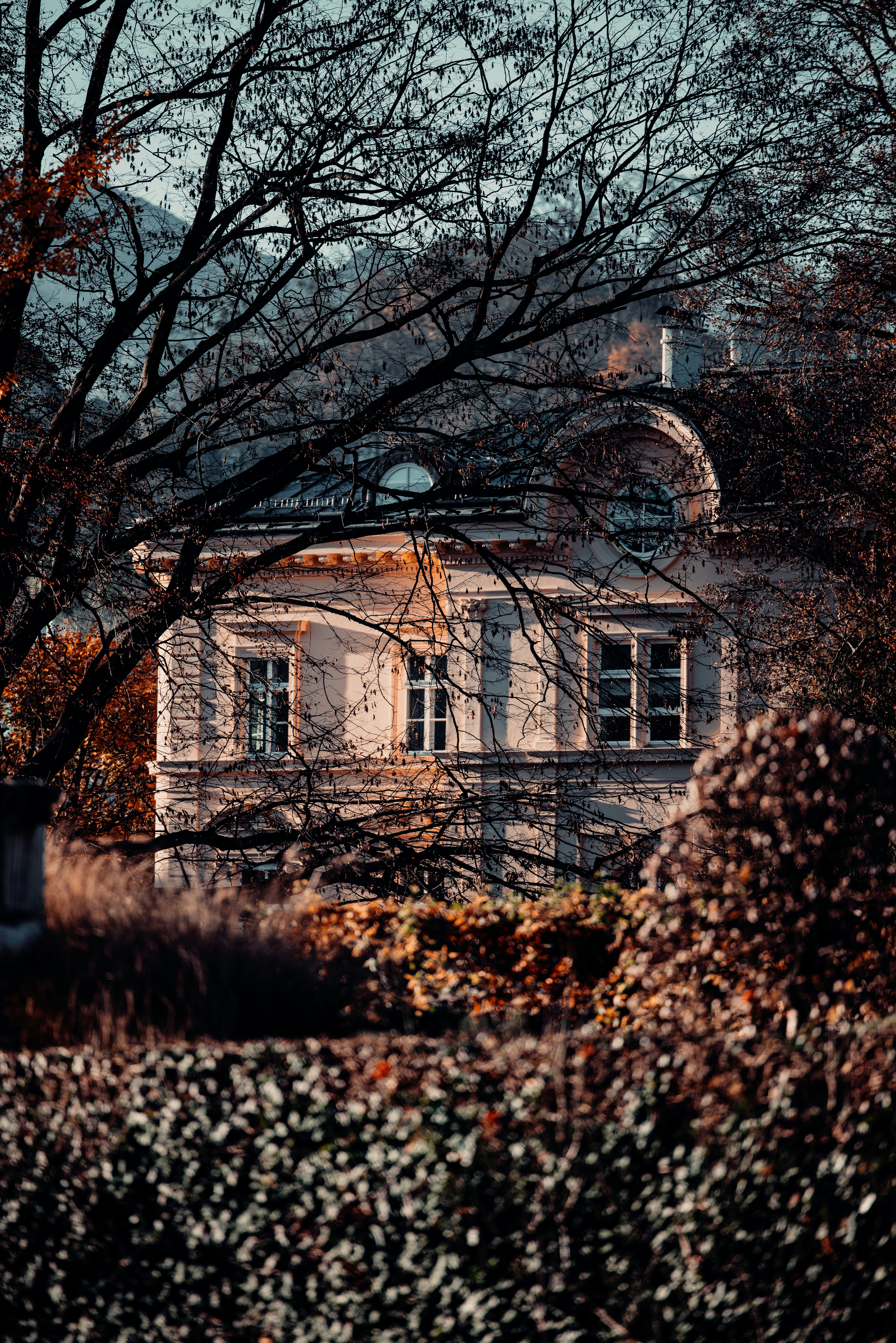 Photo by patresinger