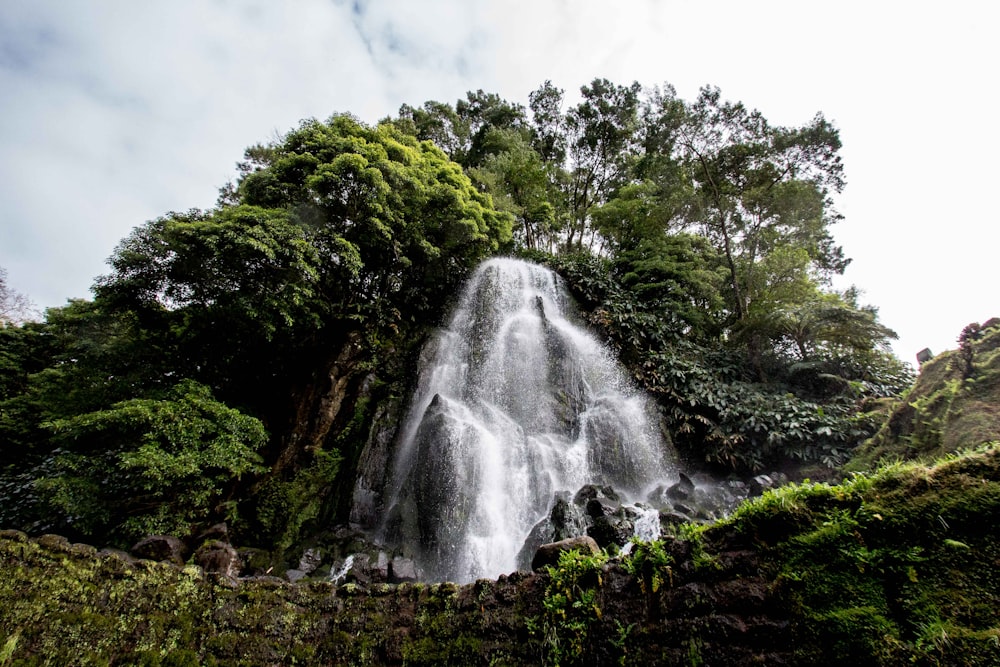 waterfalls in the middle of green trees