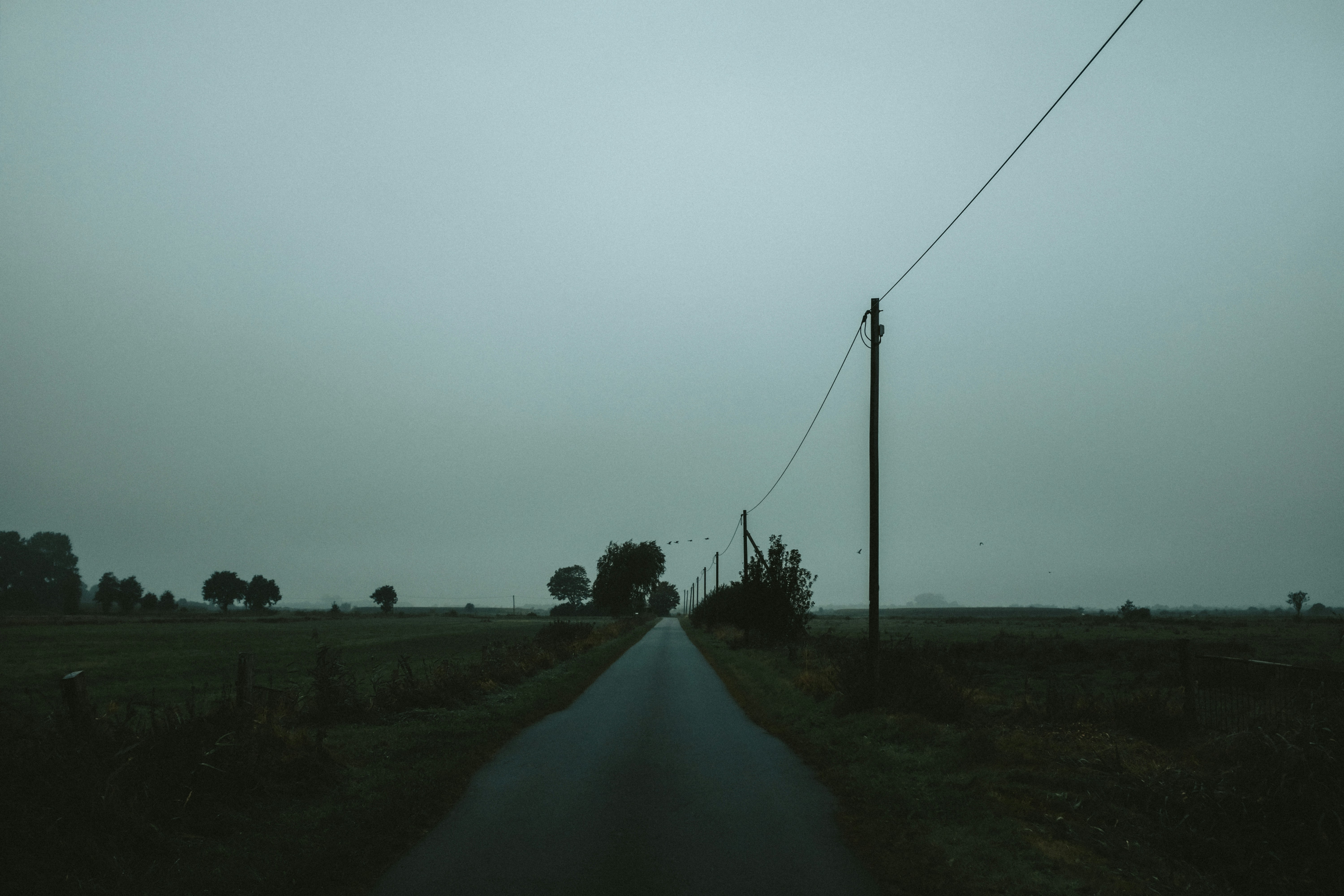 gray road between green grass field under gray sky