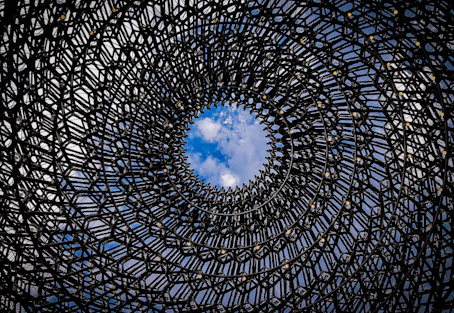 VanCamp consultants data analytics services 