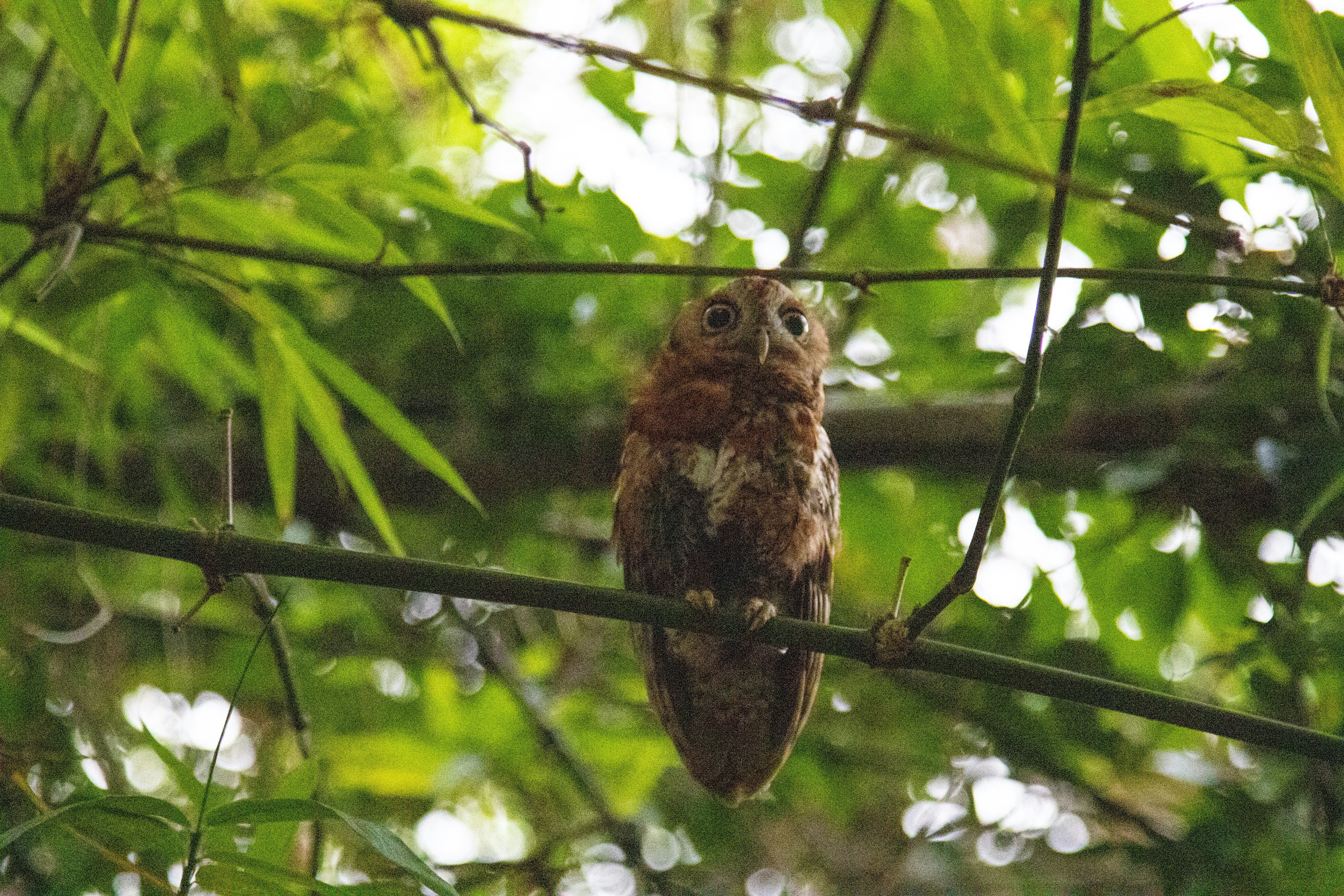 Photo by robincanfield