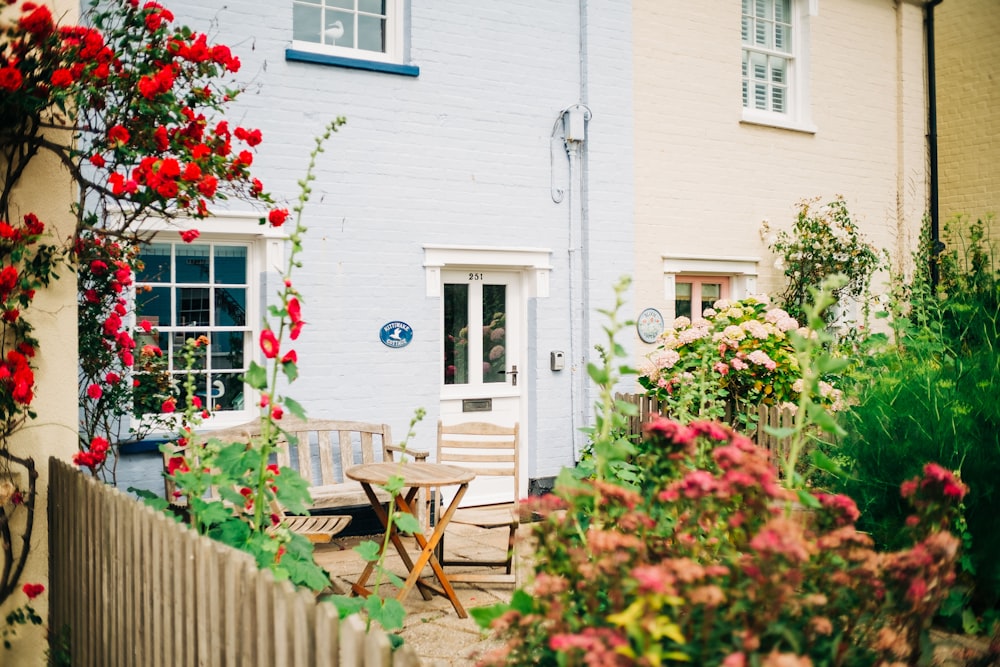 red flowers in front of white wooden fence