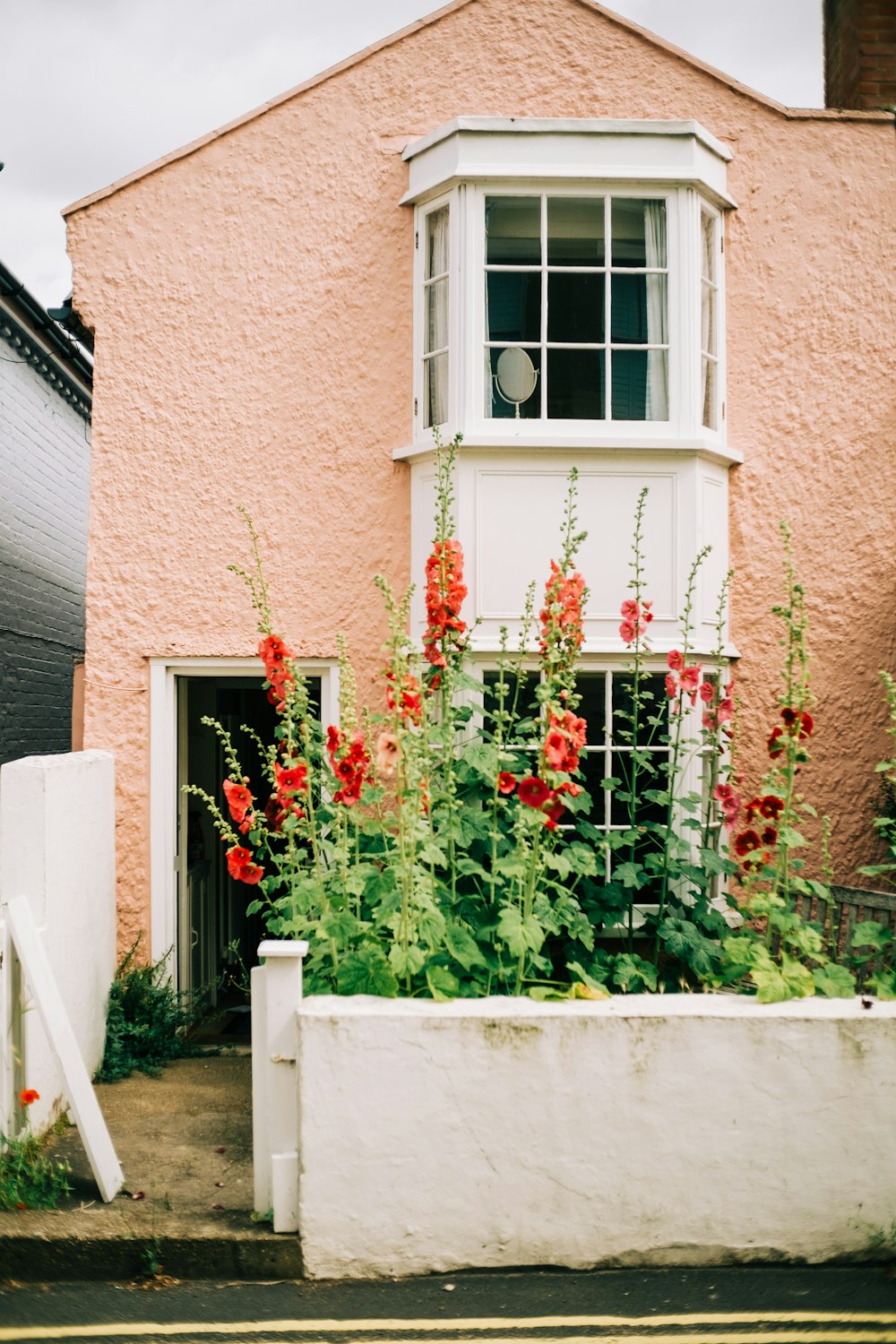 red flowers on white wooden fence