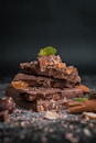 Brownie Fit