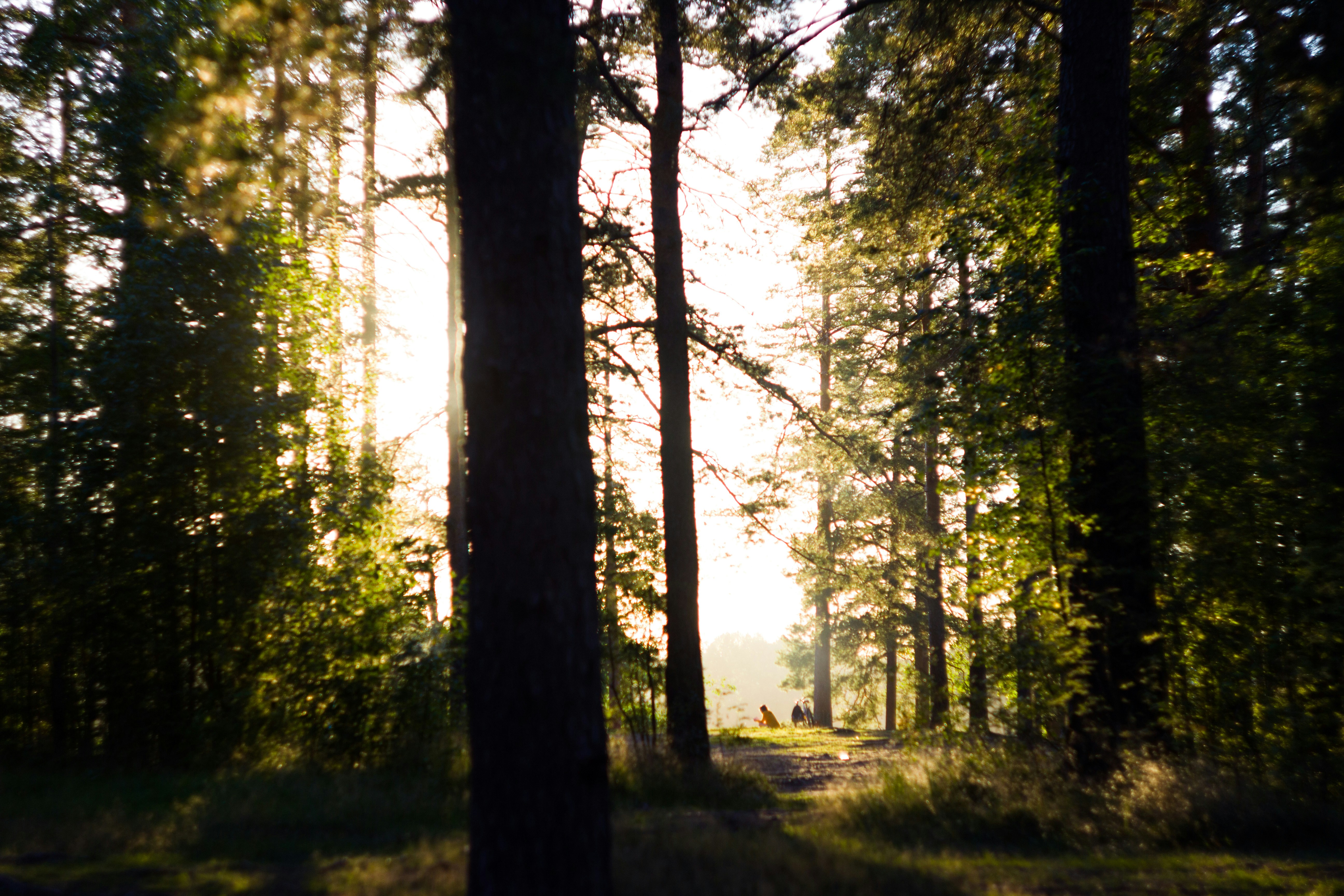 Photo by arsenijvolkov