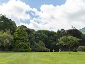 A lush, green landscape with a well-manicured lawn in the foreground. The scene is dominated by tall, dense trees with vibrant, leafy canopies under a partly cloudy sky.