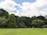 A lush, green landscape with a well-manicured lawn in the foreground. The scene is dominated by tall, dense trees with vibrant, leafy canopies under a partly cloudy sky.