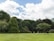 A lush, green landscape with a well-manicured lawn in the foreground. The scene is dominated by tall, dense trees with vibrant, leafy canopies under a partly cloudy sky.