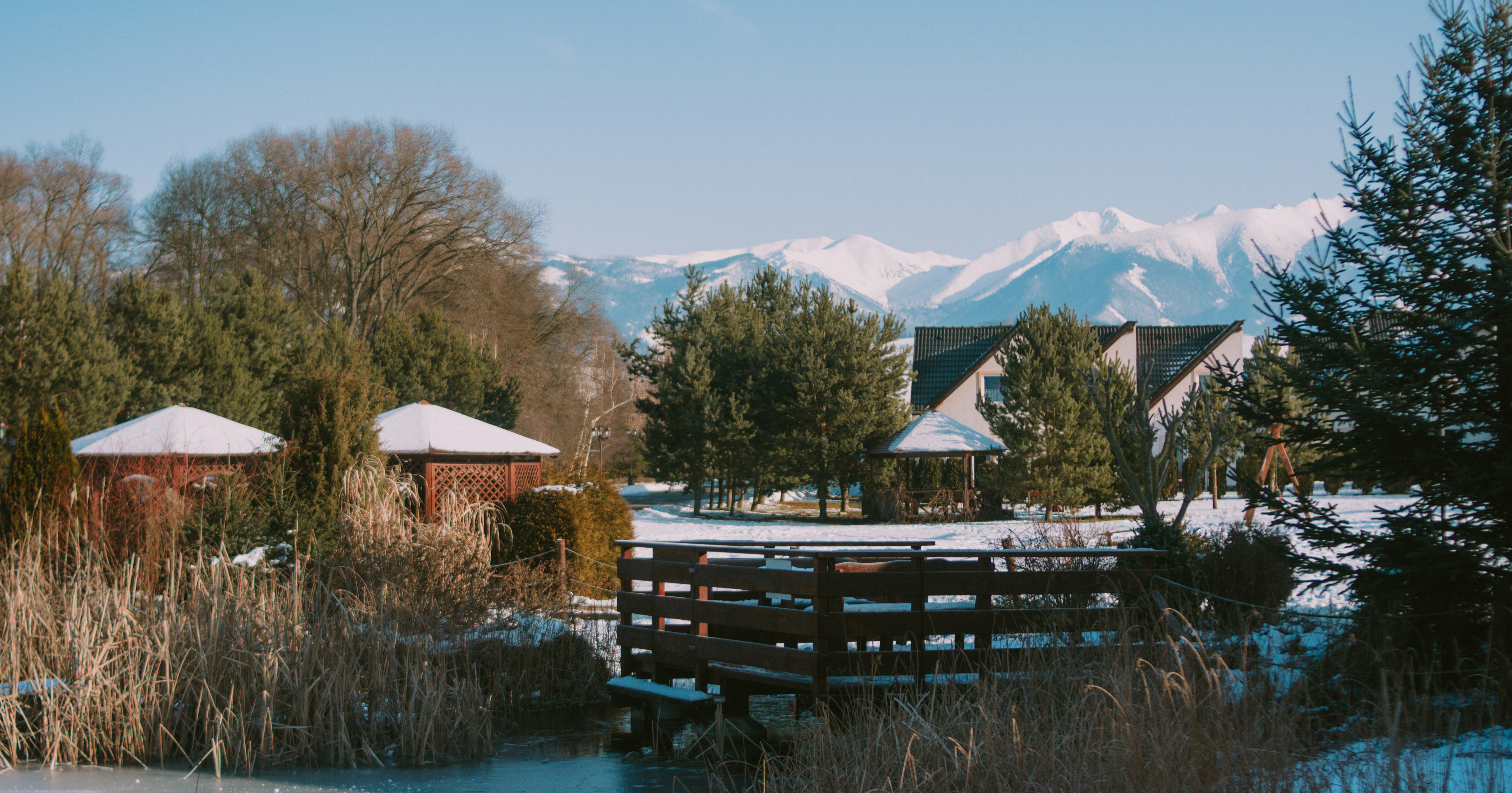 brown wooden fence near body of water during daytime