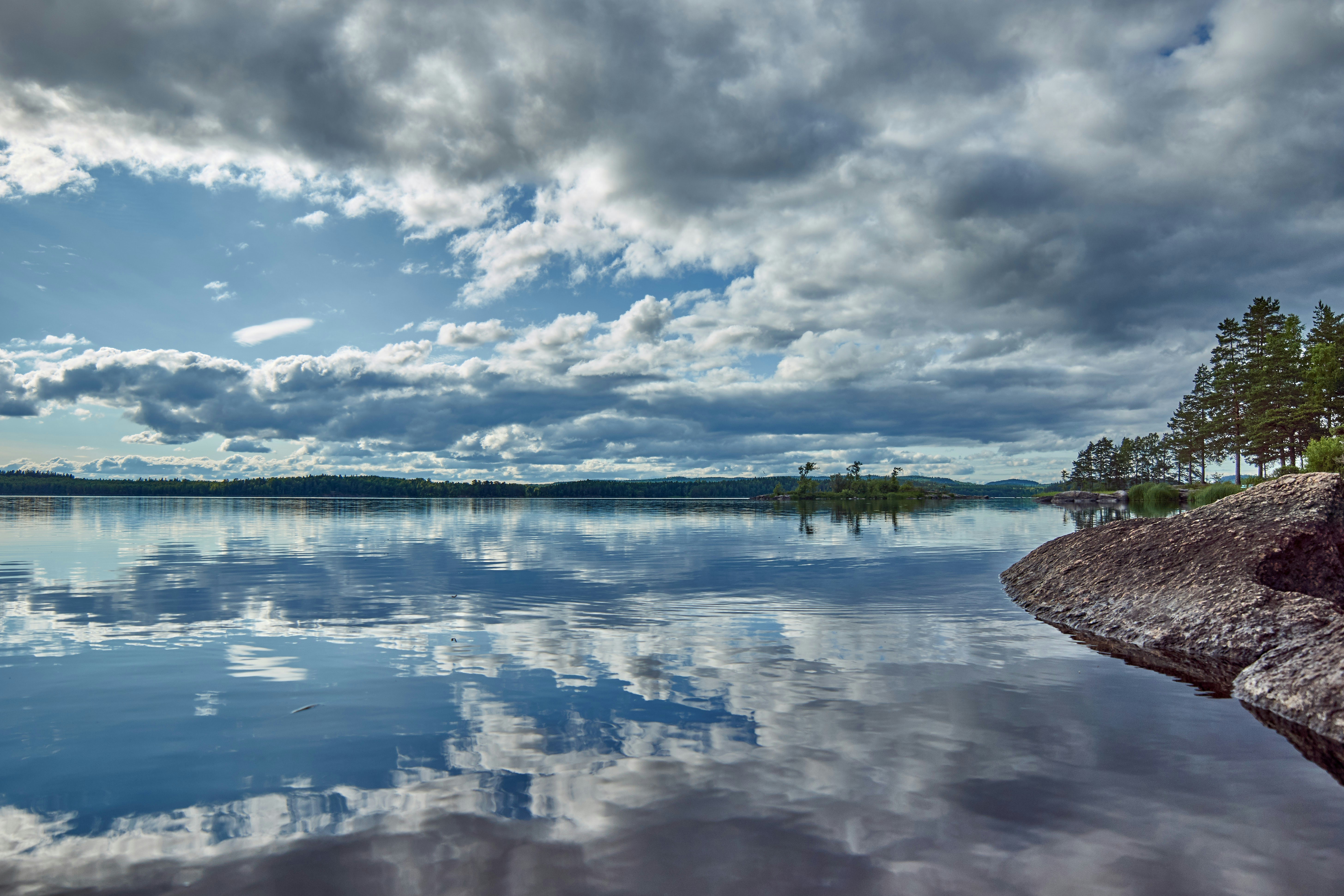 Photo by wolfgang_hasselmann