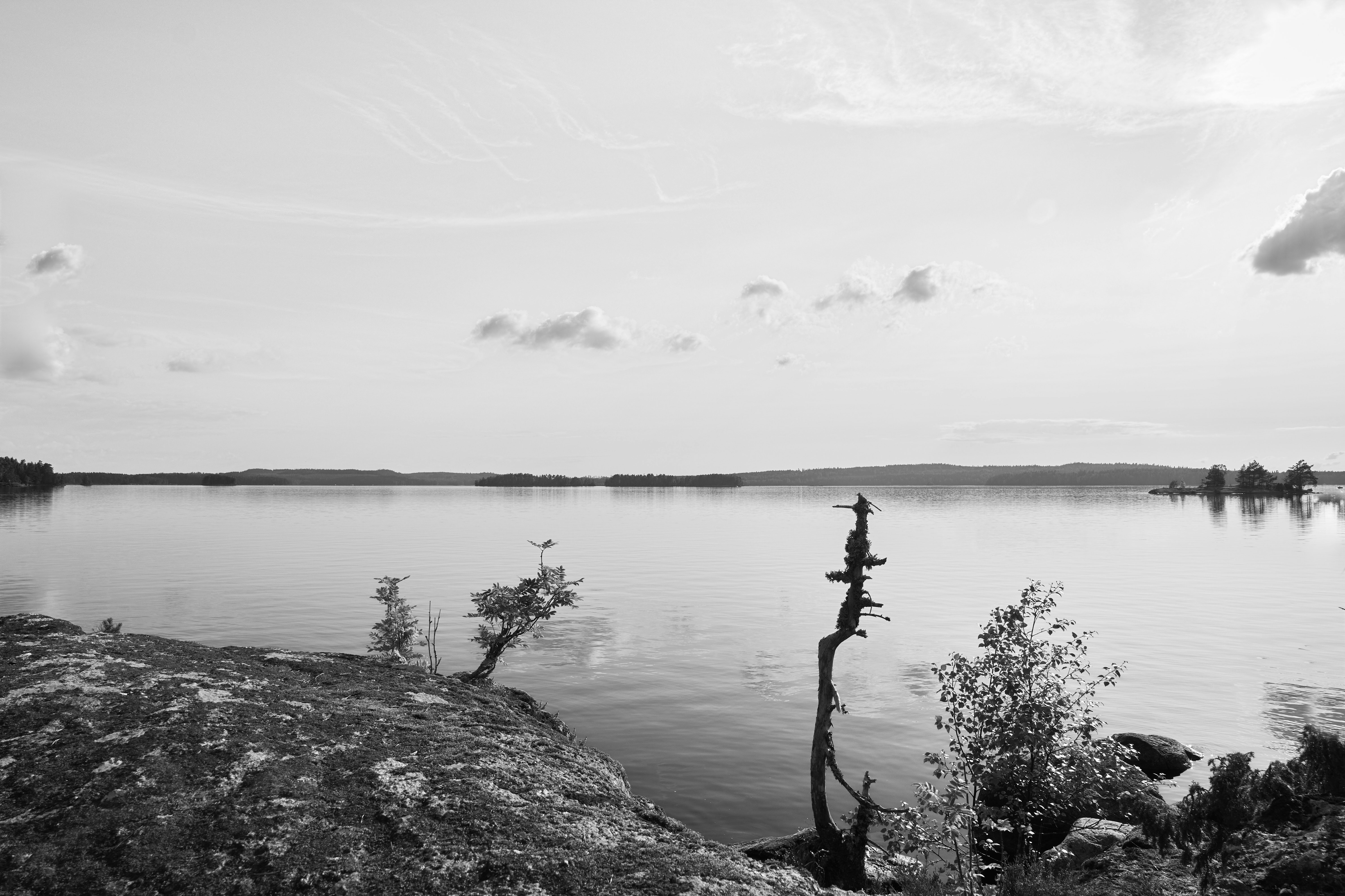 Photo by wolfgang_hasselmann