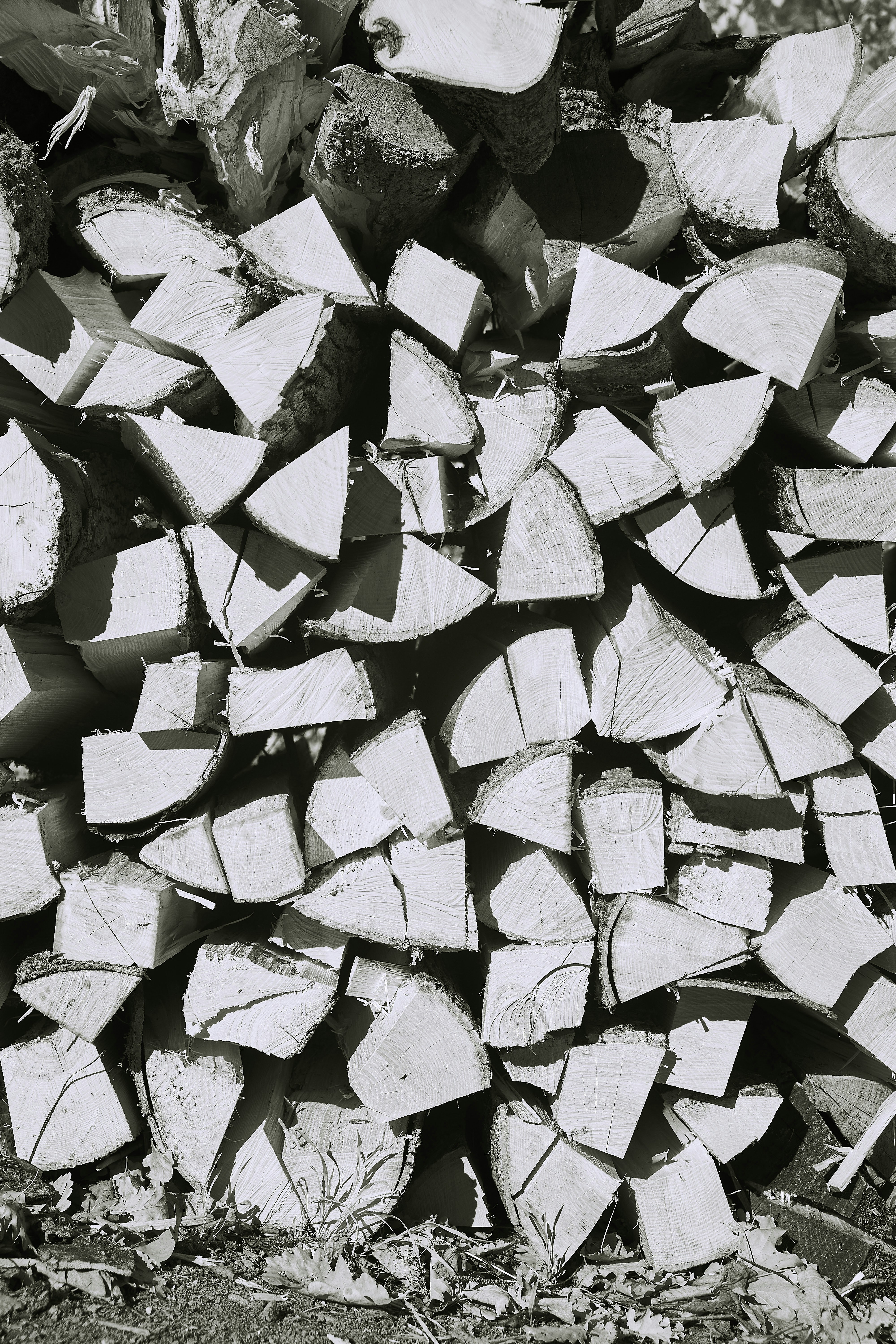 Photo by wolfgang_hasselmann