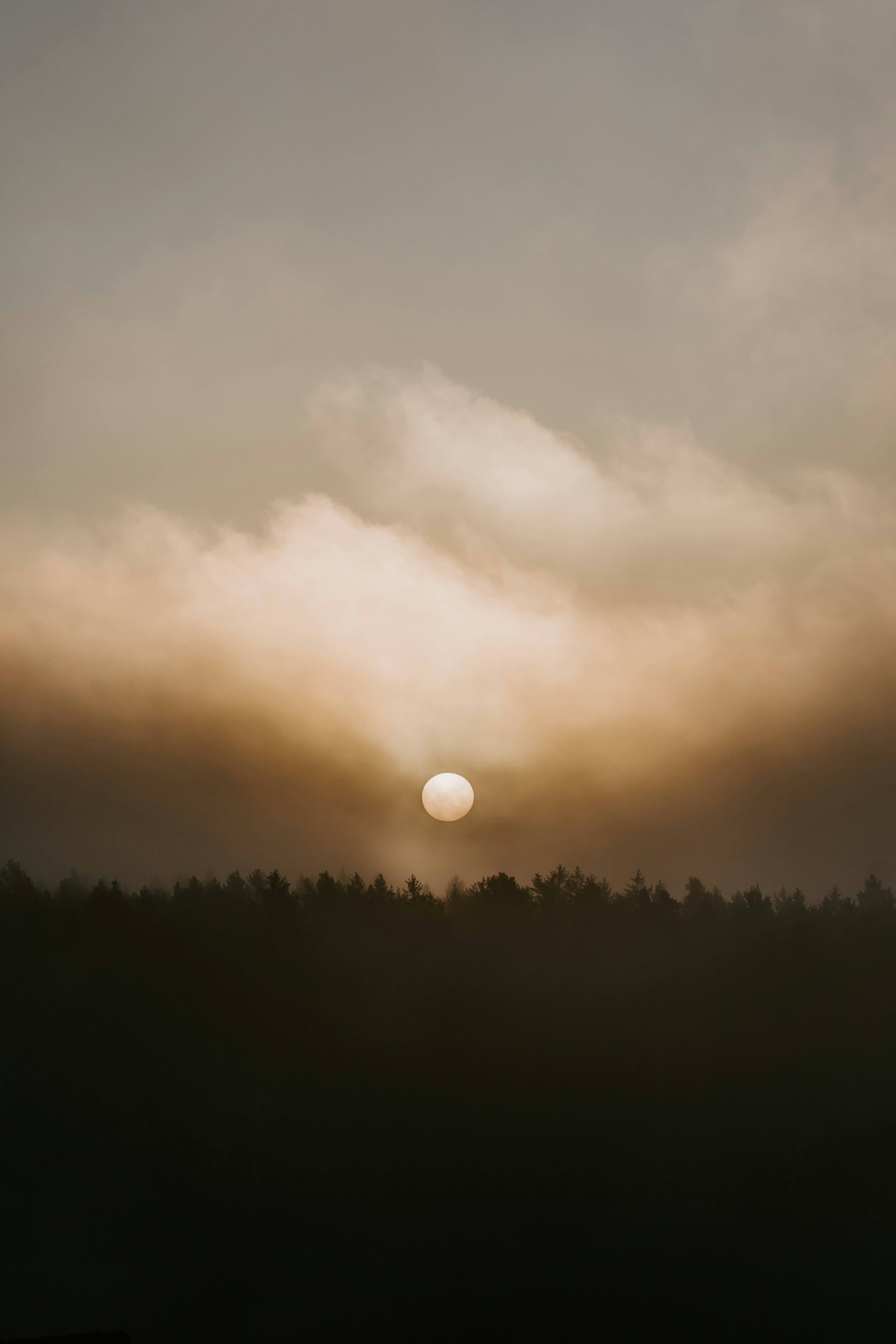 Photo by julianhochgesang