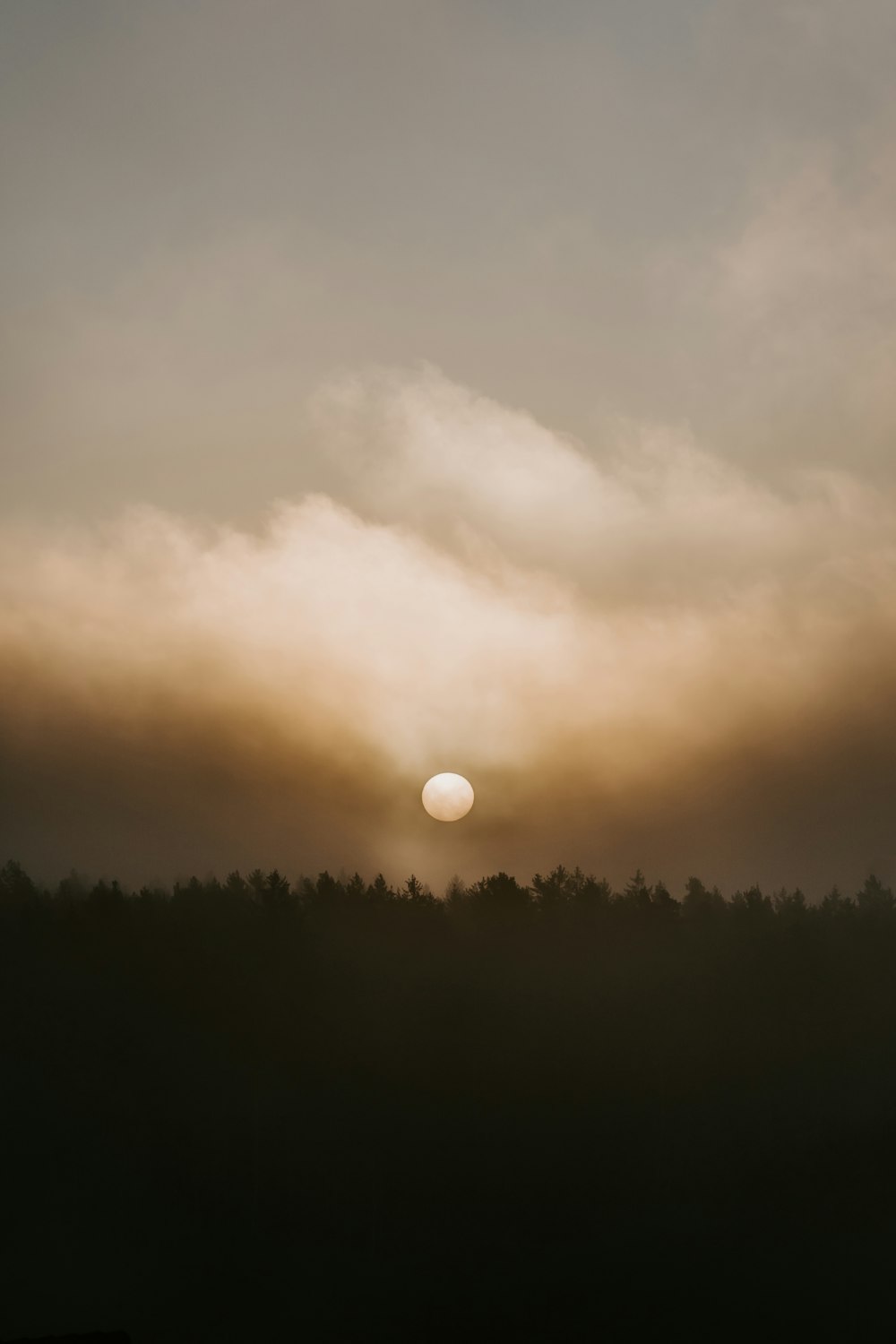 silhouette of trees under cloudy sky during sunset