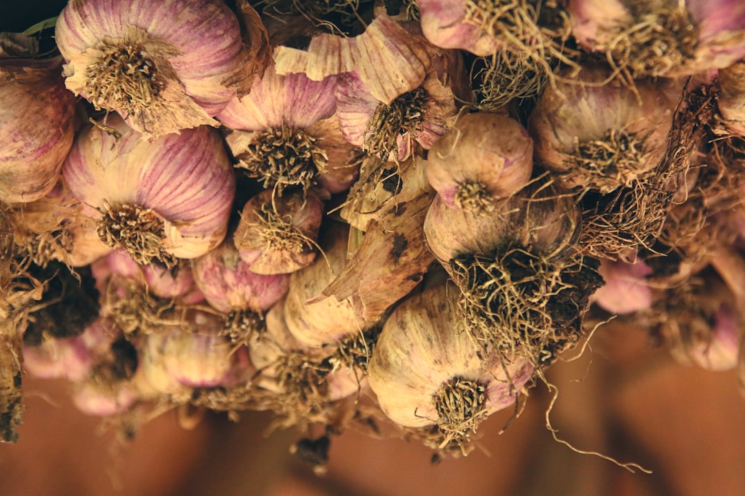 brown and white flower buds