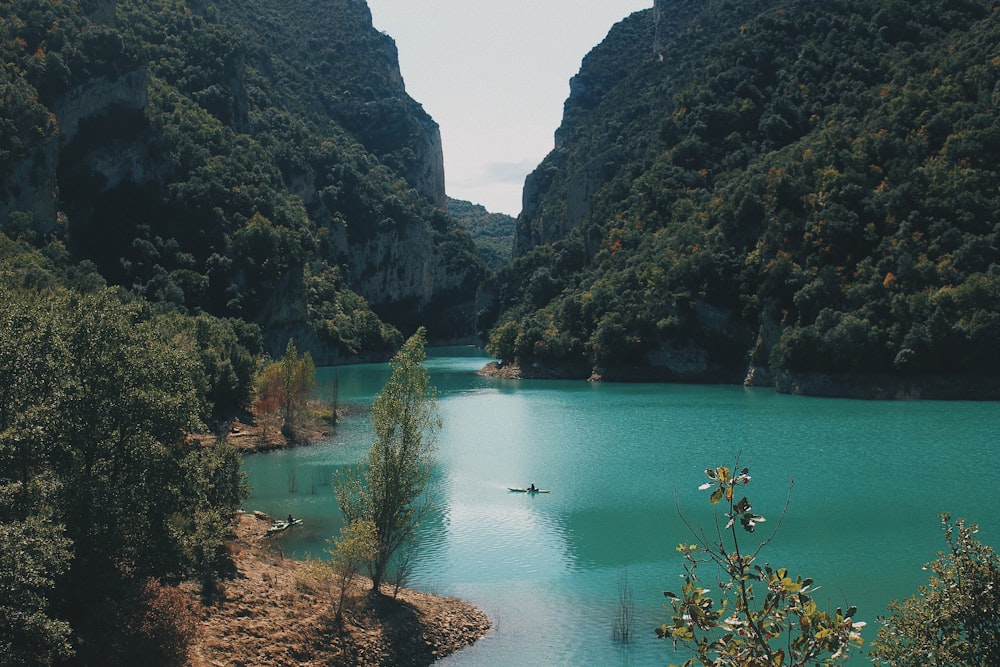 green lake between green trees during daytime