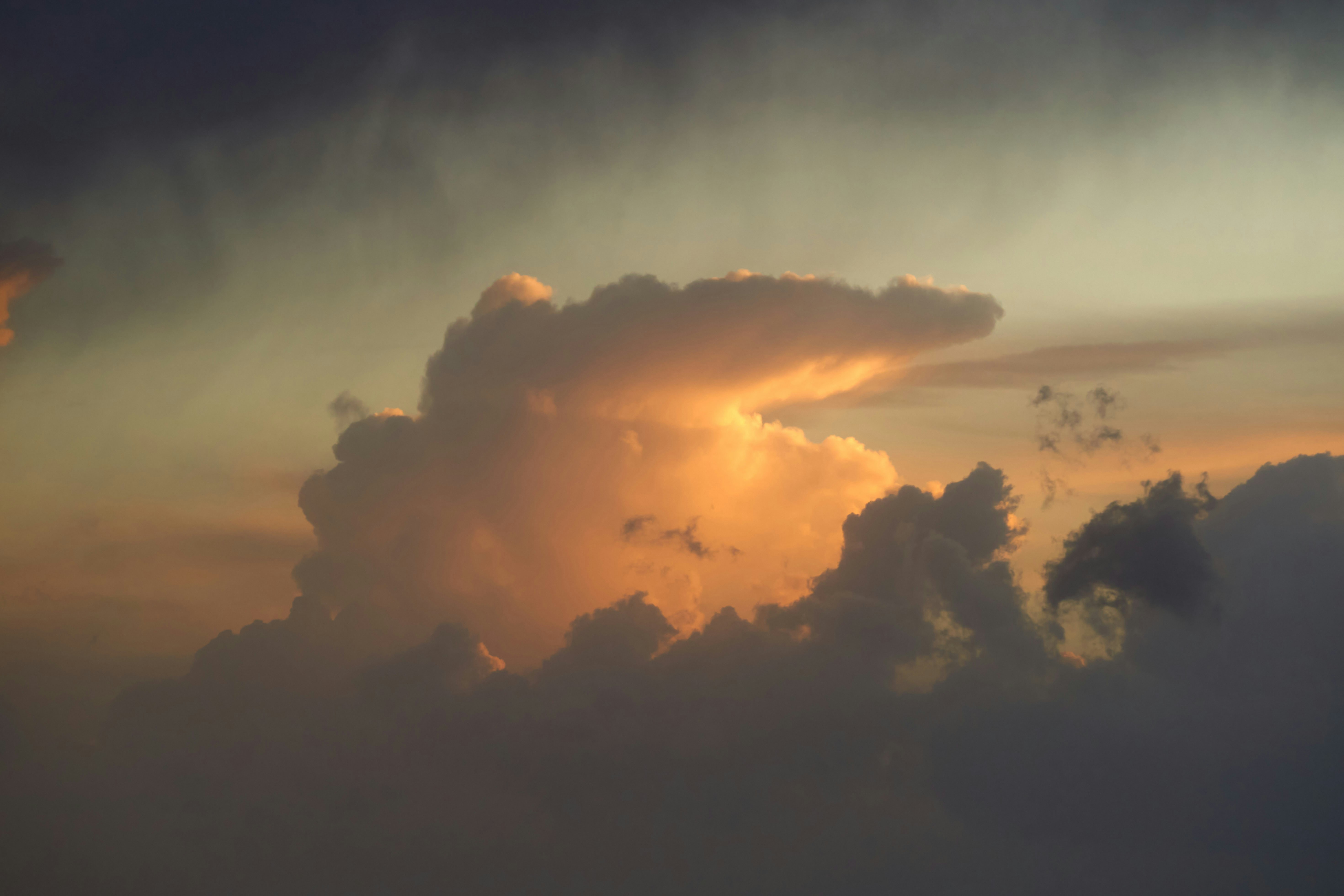 Photo by wolfgang_hasselmann