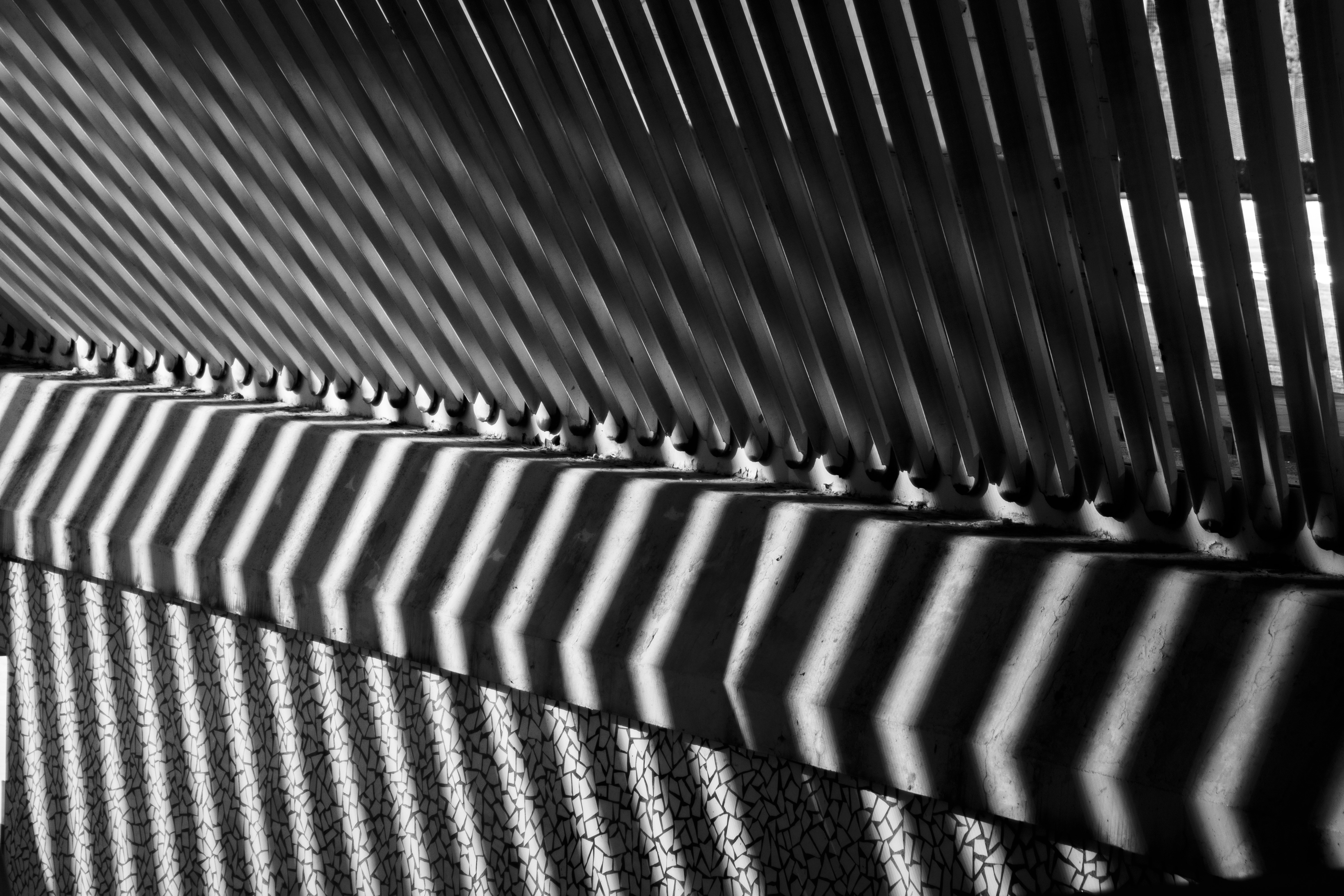Photo made in the City of Arts and Sciences, Spain. Black and white.