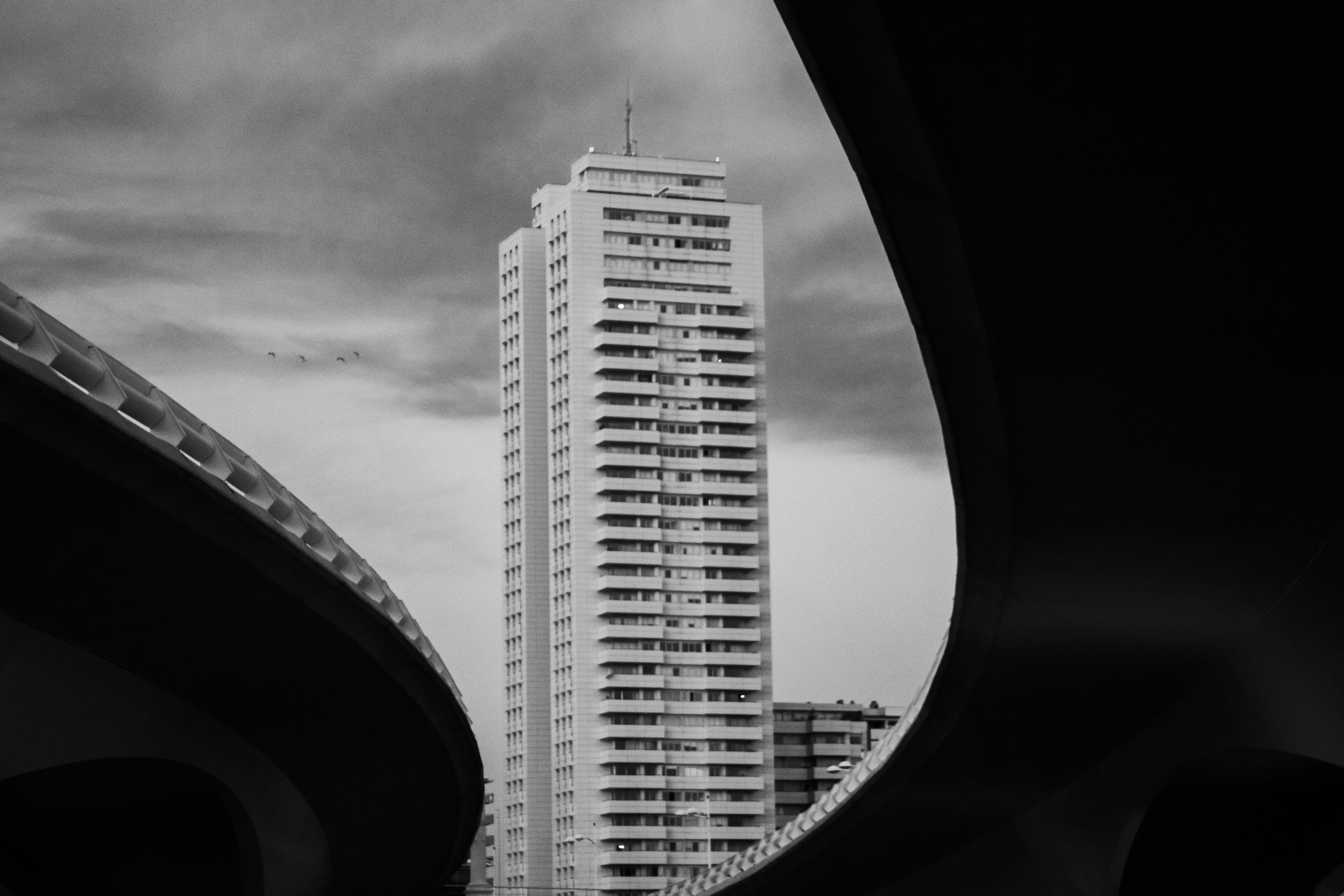 Valencia skyscraper, in the City of Arts and Sciences, Spain. Black and white.