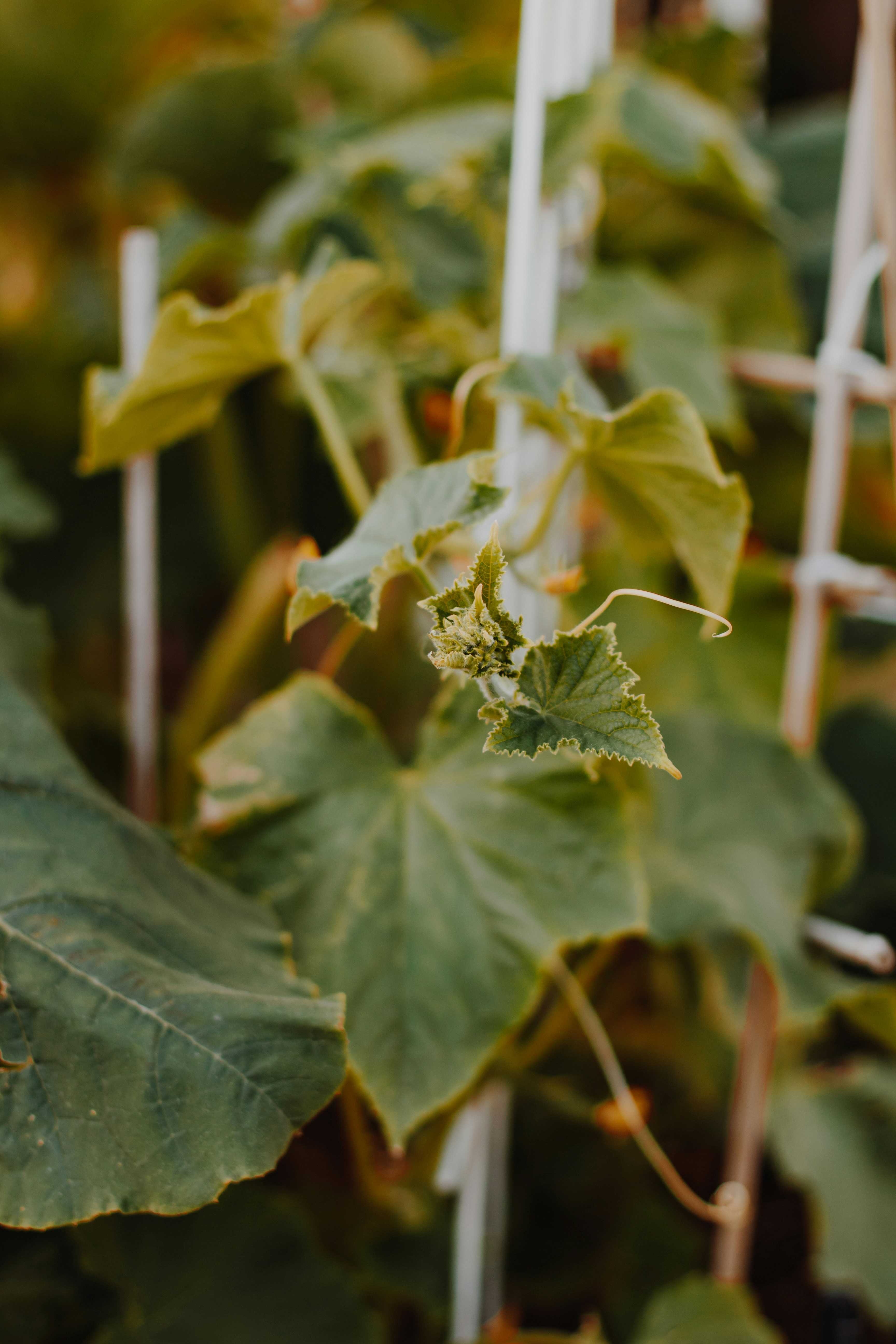 Photo by sincerelymedia