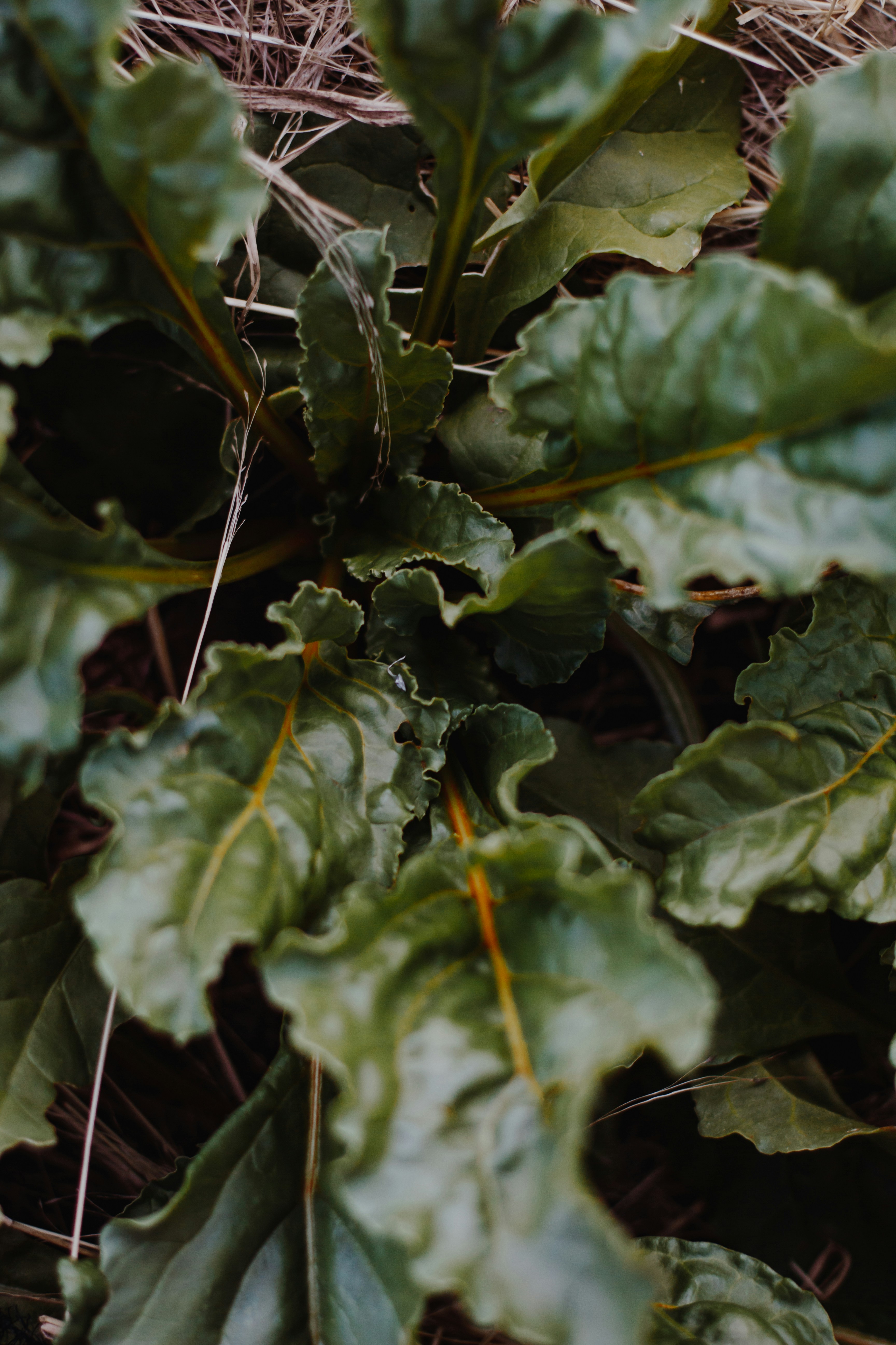 Photo by sincerelymedia