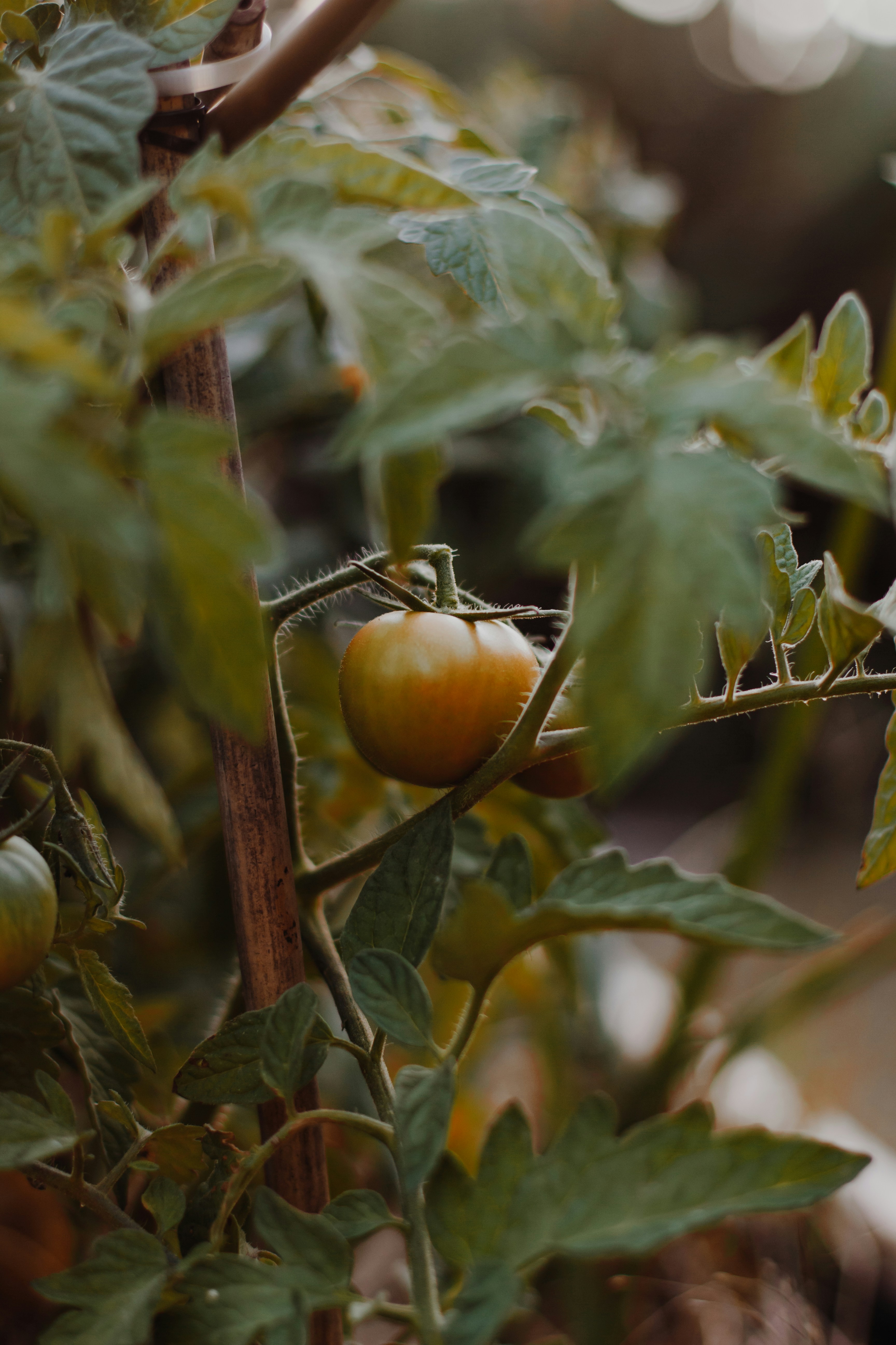 Photo by sincerelymedia