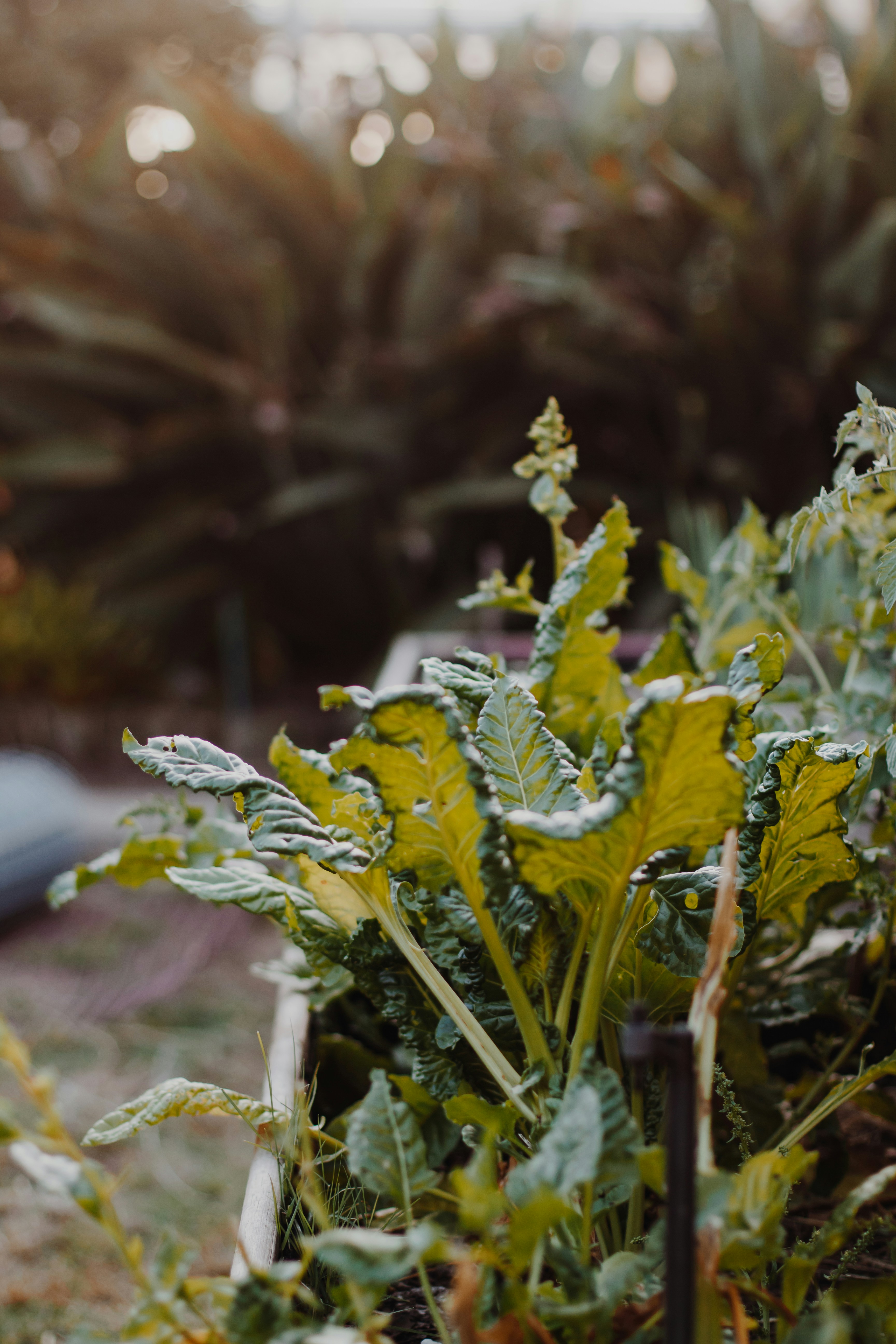 Photo by sincerelymedia