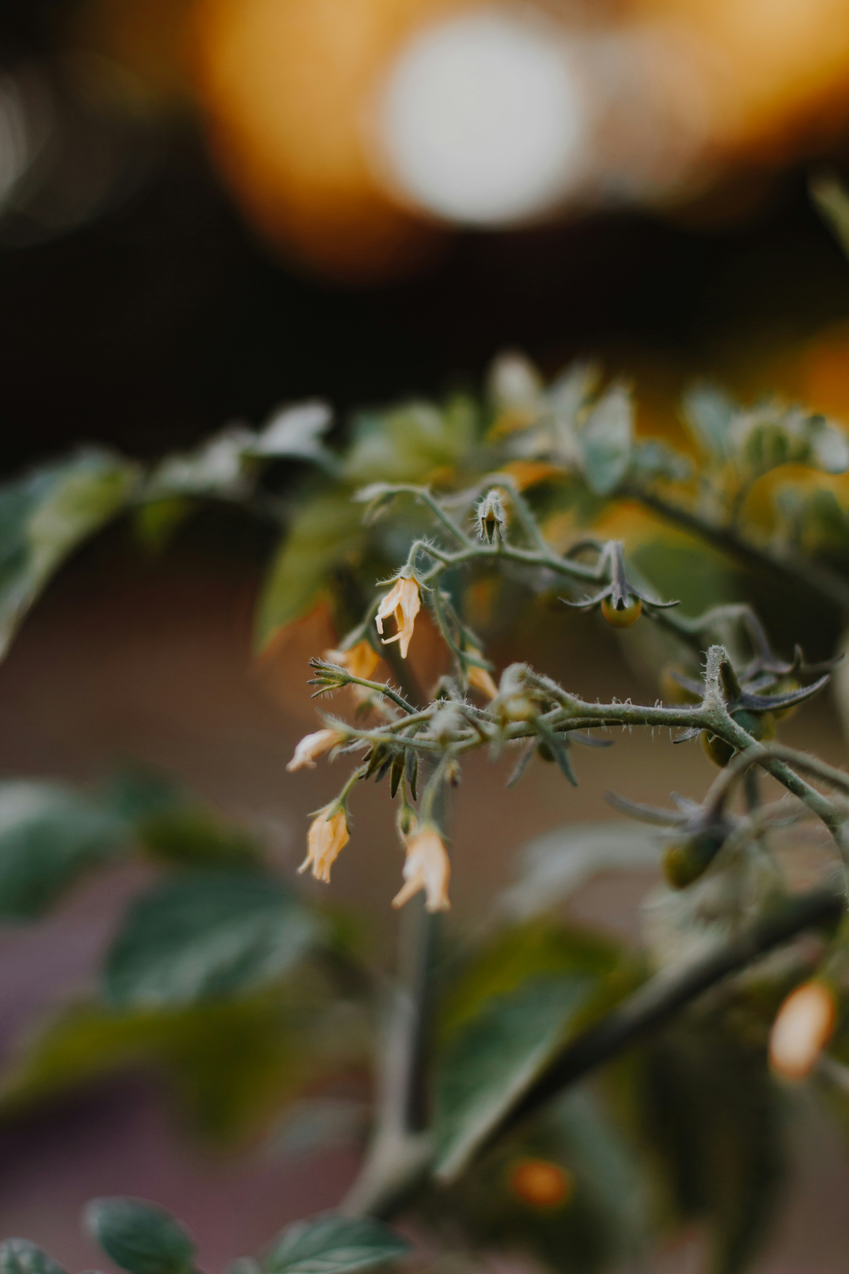 Photo by sincerelymedia