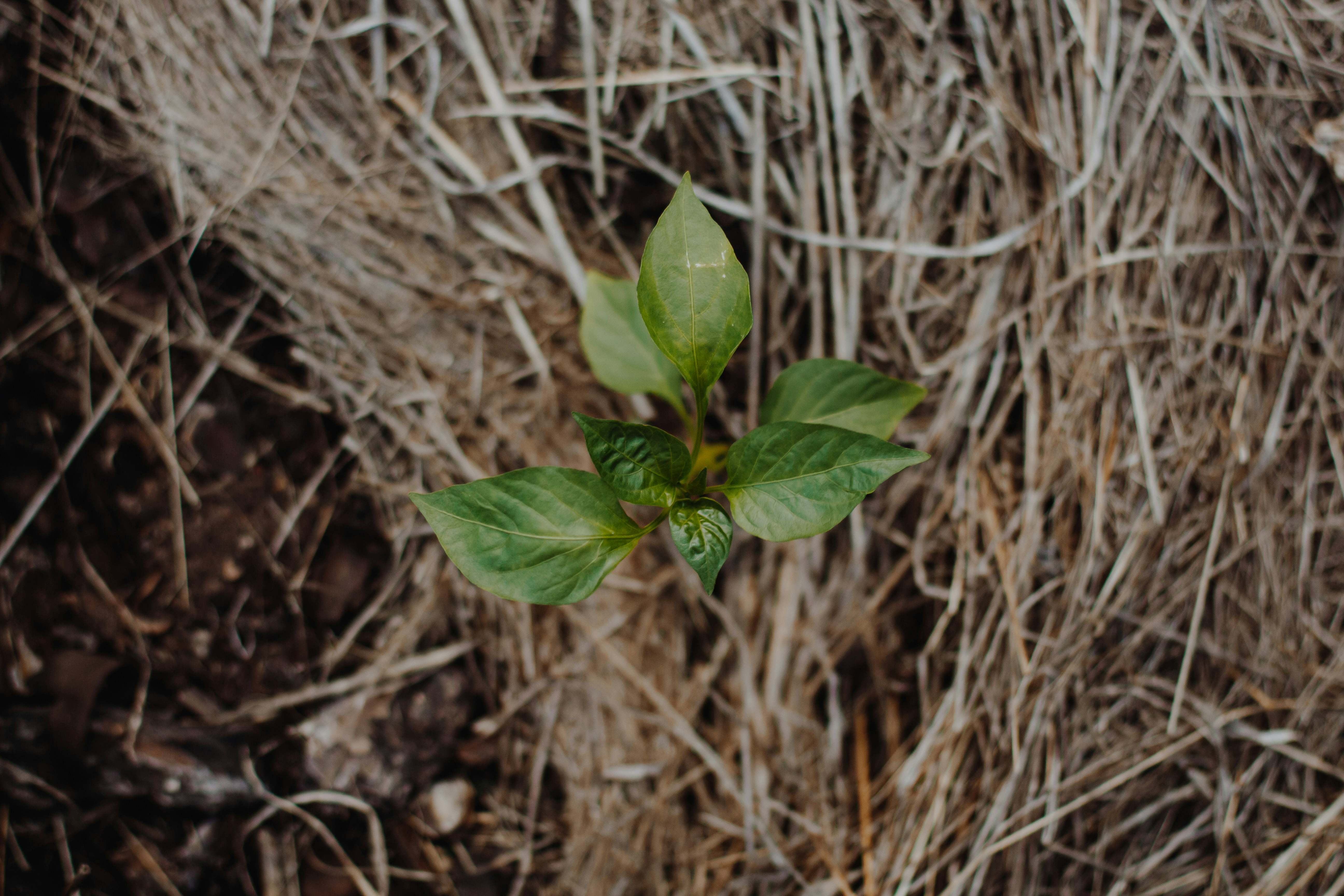 Photo by sincerelymedia