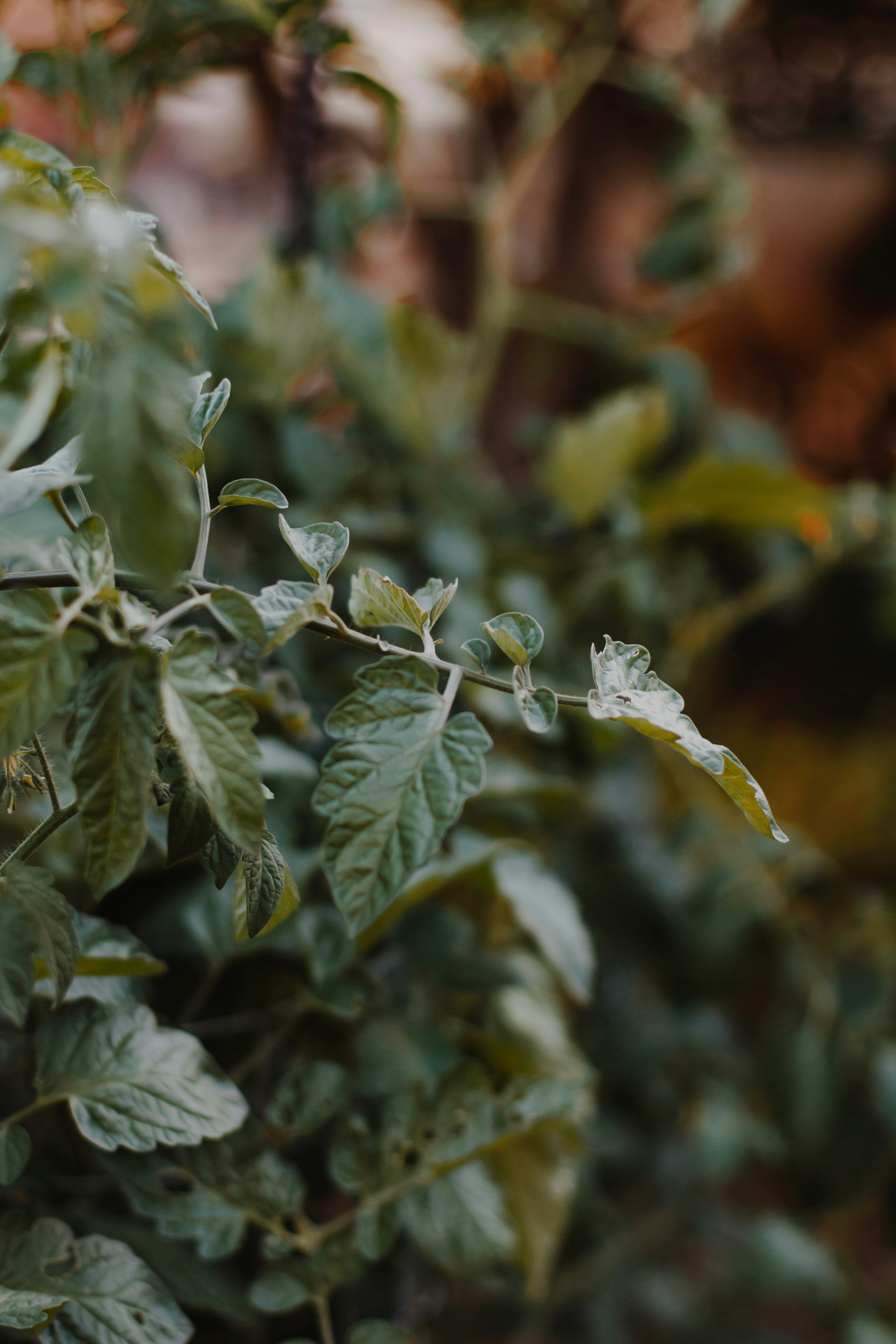 Photo by sincerelymedia