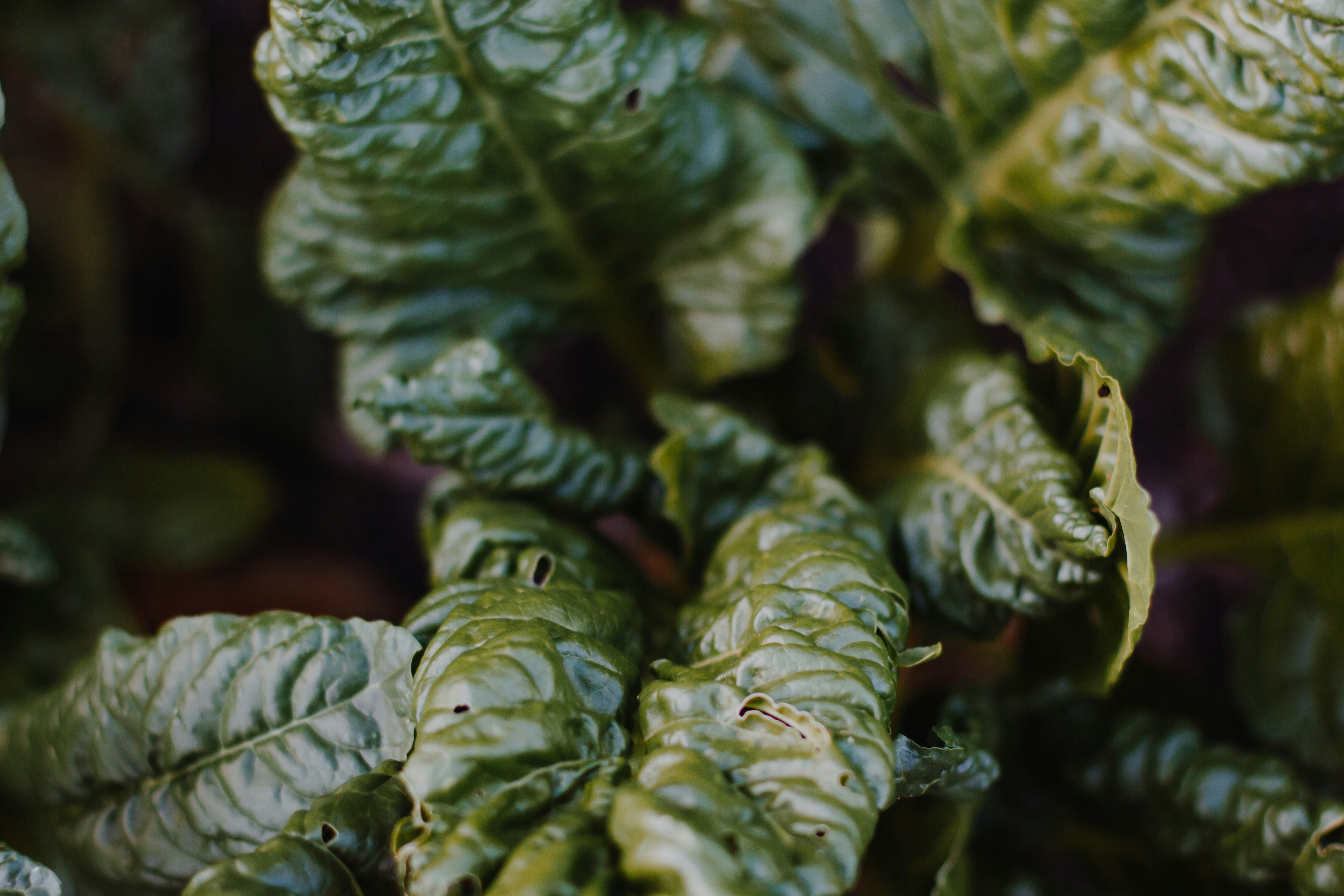 Photo by sincerelymedia