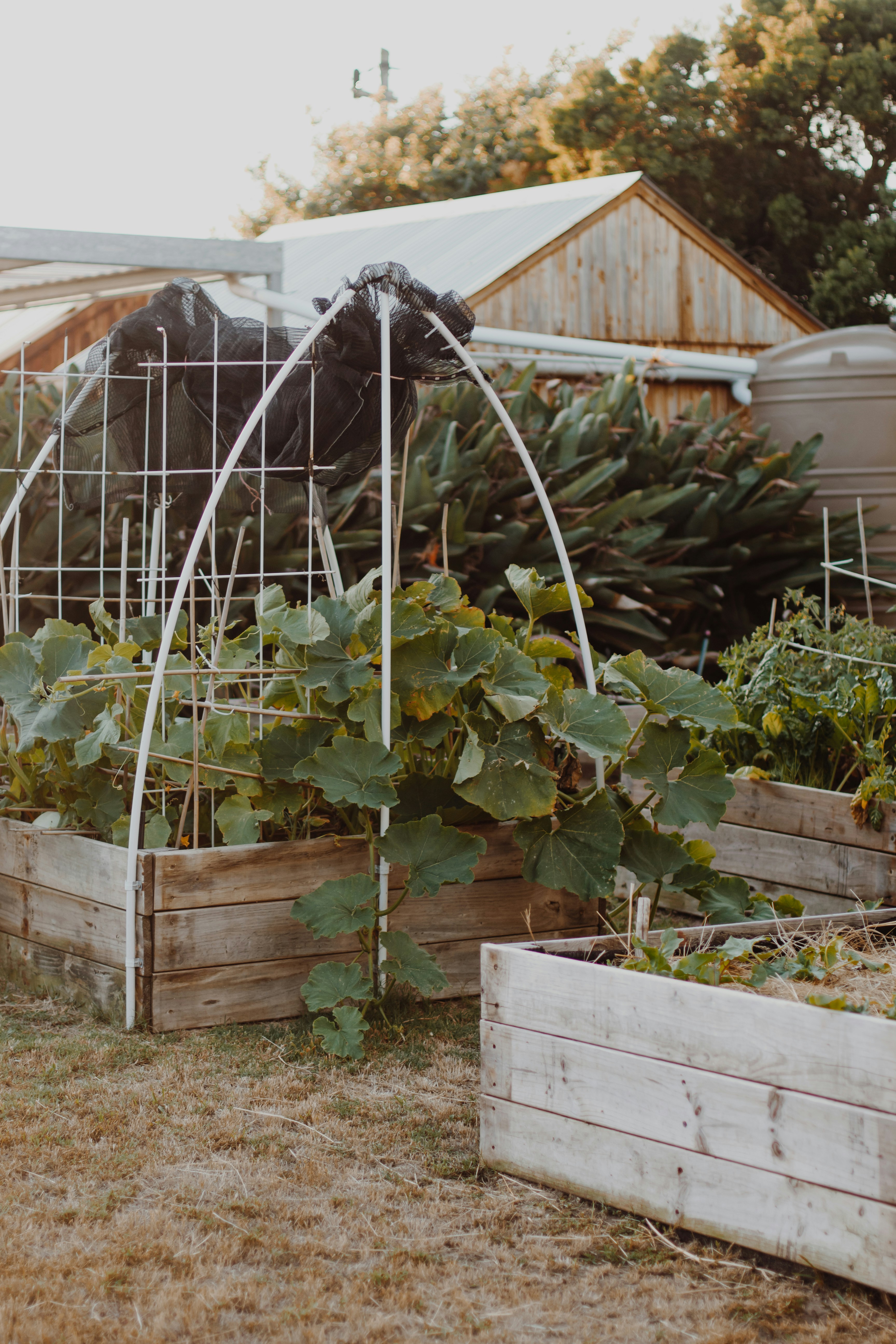 Poof sorry image href gone!