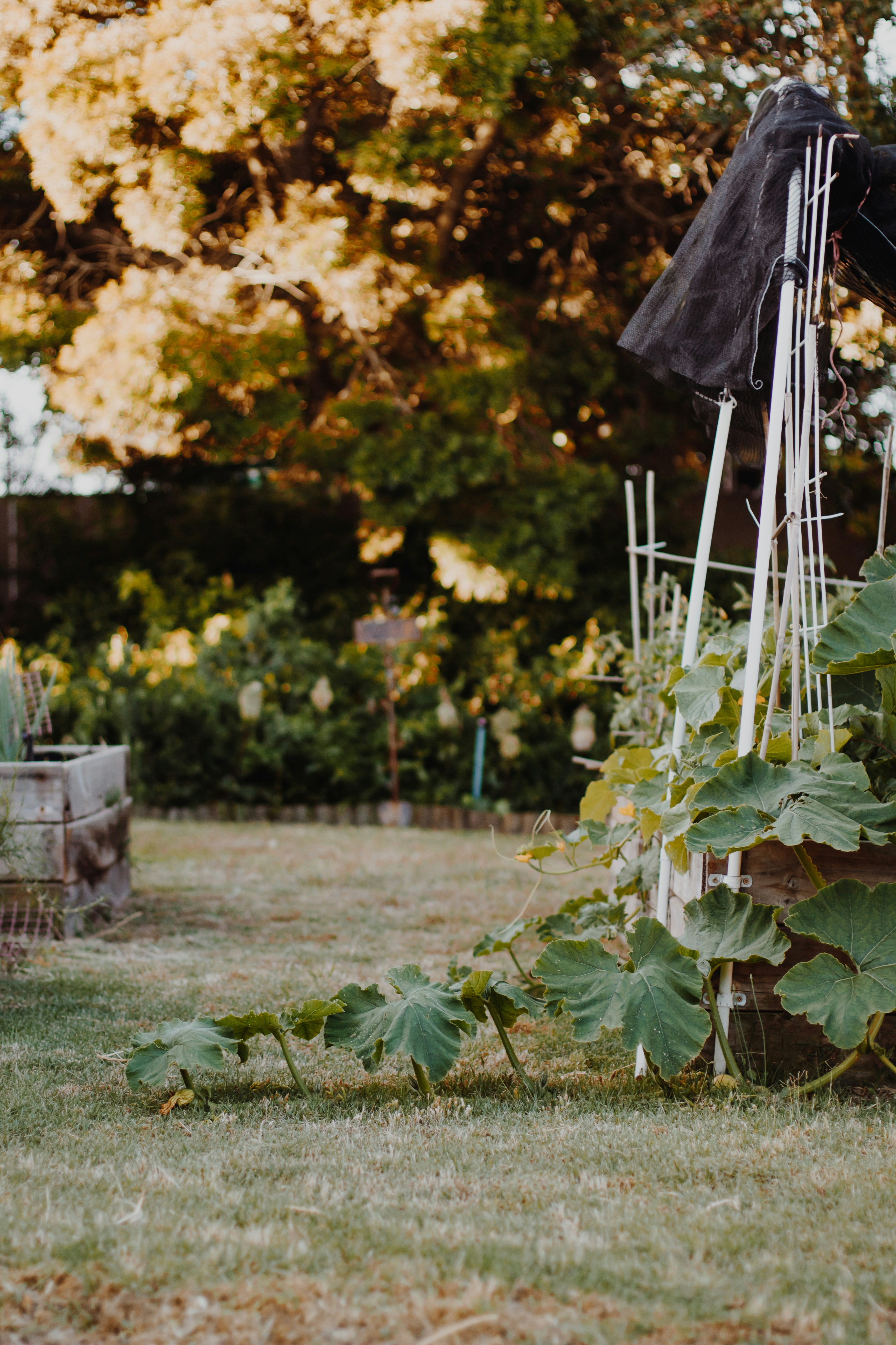 Photo by sincerelymedia