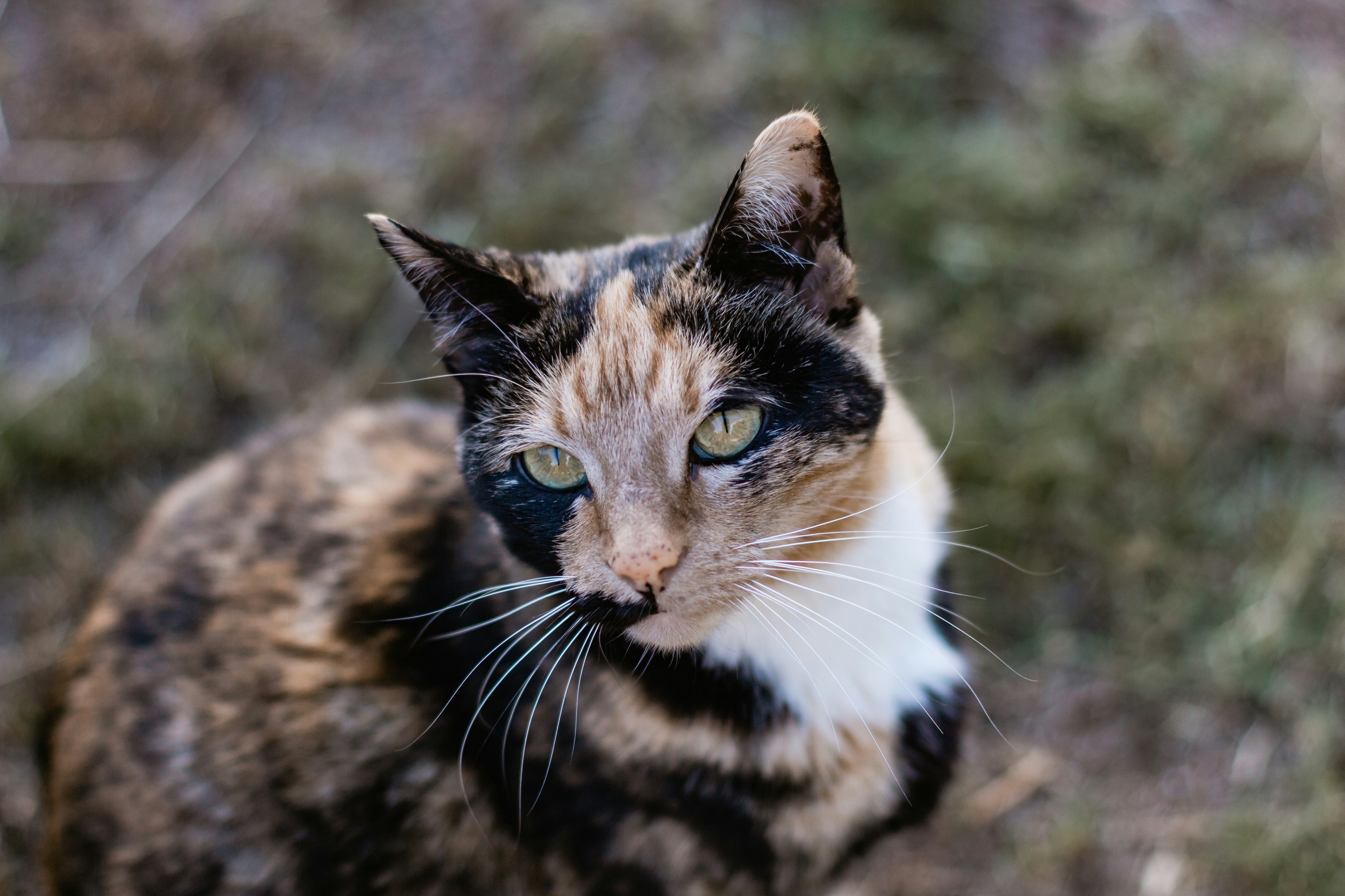 Photo by sincerelymedia