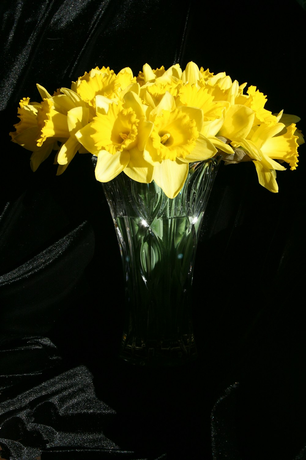 yellow flower in clear glass vase