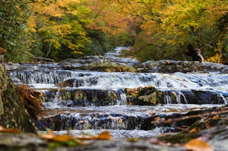 Georgia Mountain Spring Water