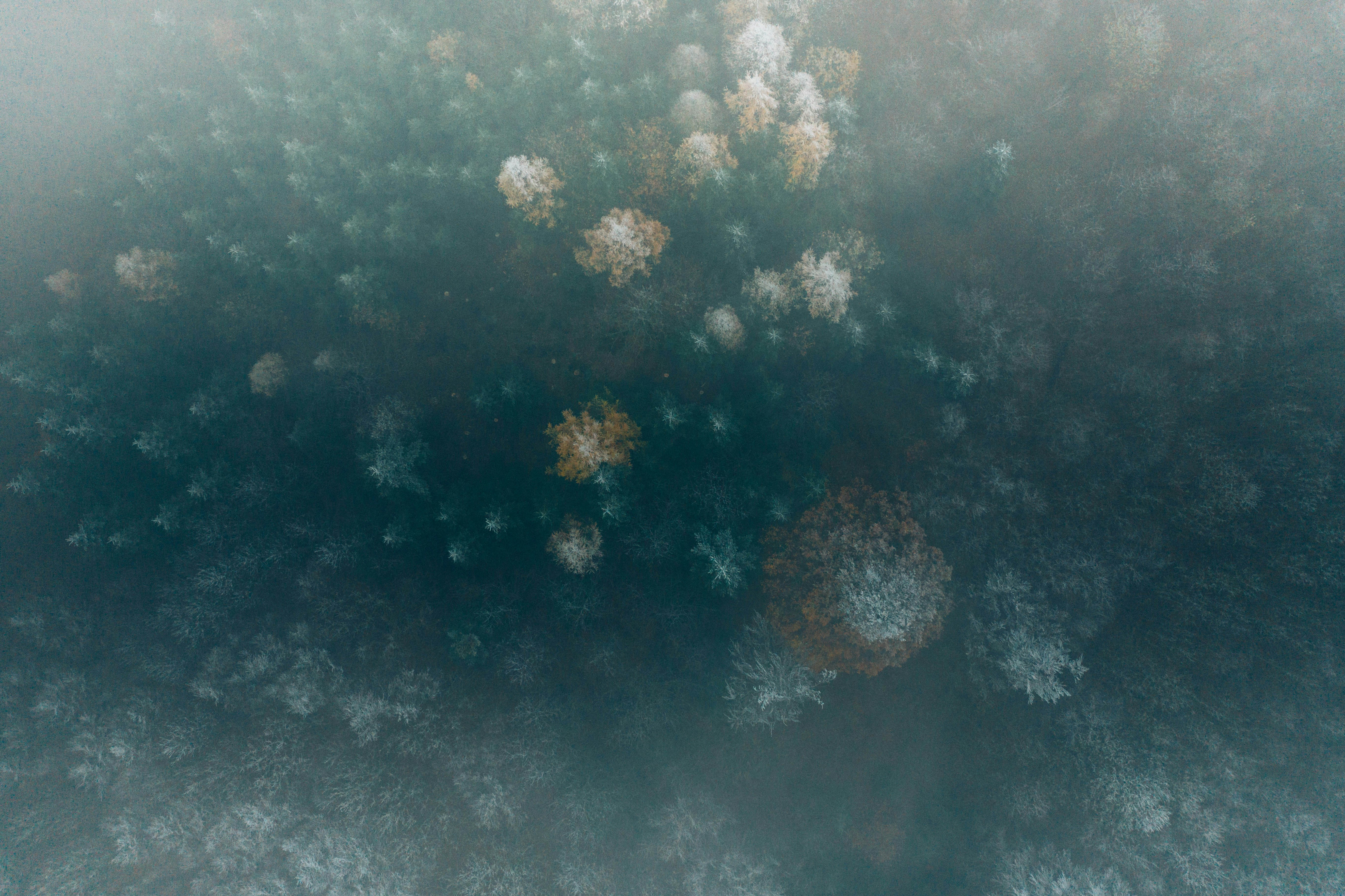 Photo by maxostwalt