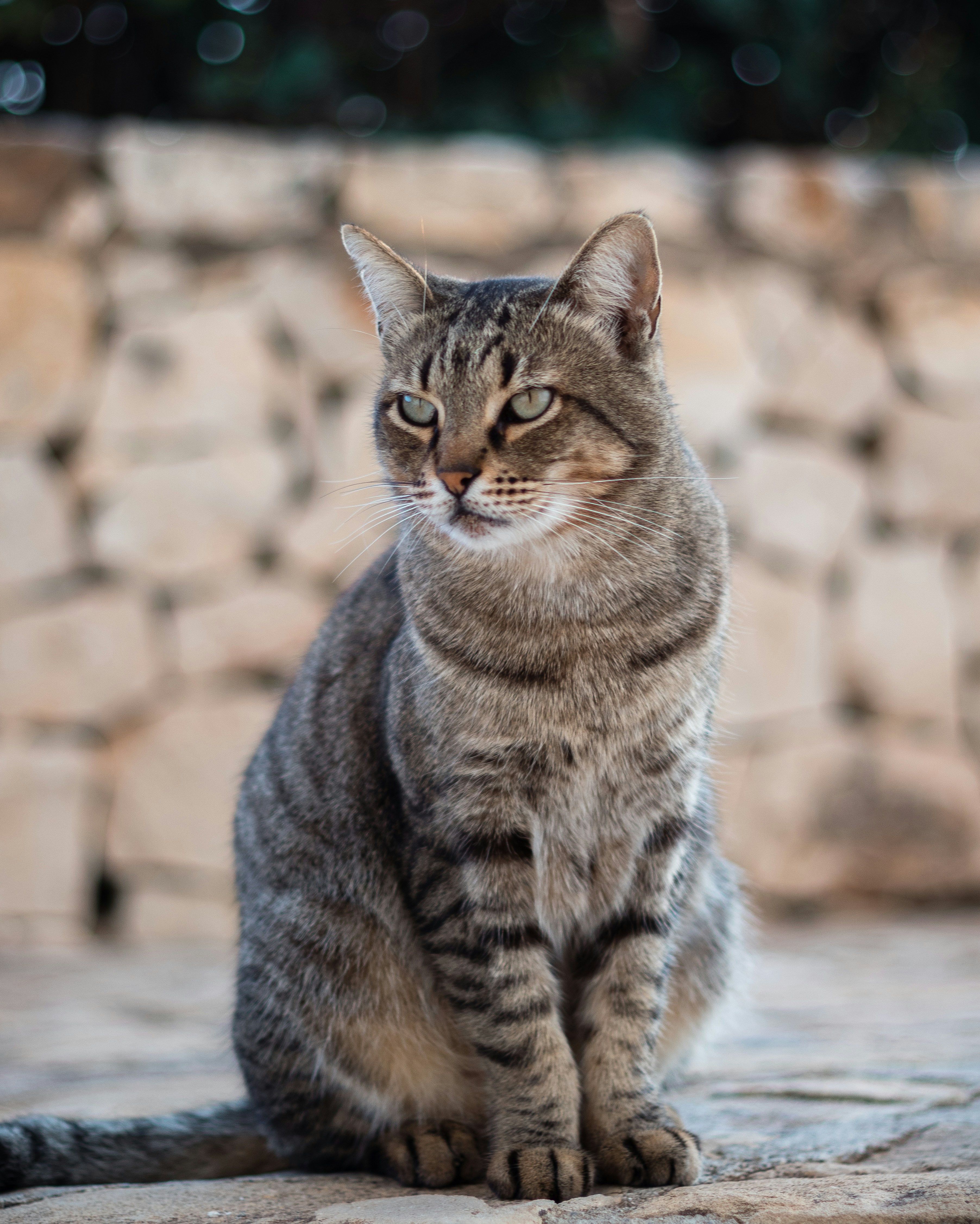 Photo by eugenproskouriakov