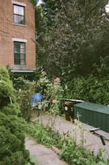 A garden area in front of a brick building with two visible windows. The space features a narrow pathway surrounded by dense greenery and bushes. Roses and other plants are growing on one side of the path. A dark-colored trash bin and a rectangular, green storage container are positioned nearby. A blue tarp is partially visible amidst the plants.
