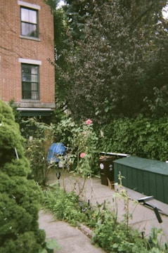 A garden area in front of a brick building with two visible windows. The space features a narrow pathway surrounded by dense greenery and bushes. Roses and other plants are growing on one side of the path. A dark-colored trash bin and a rectangular, green storage container are positioned nearby. A blue tarp is partially visible amidst the plants.
